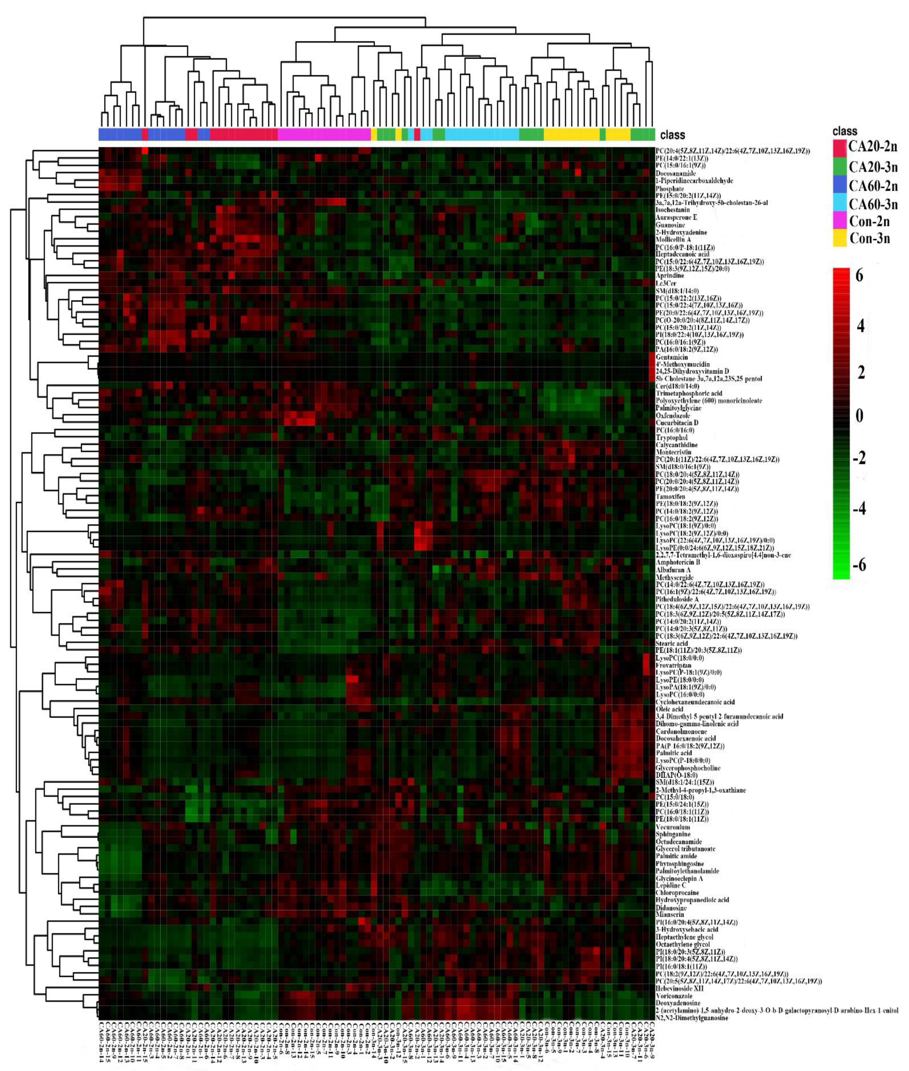 Metabolites 14 00721 g003