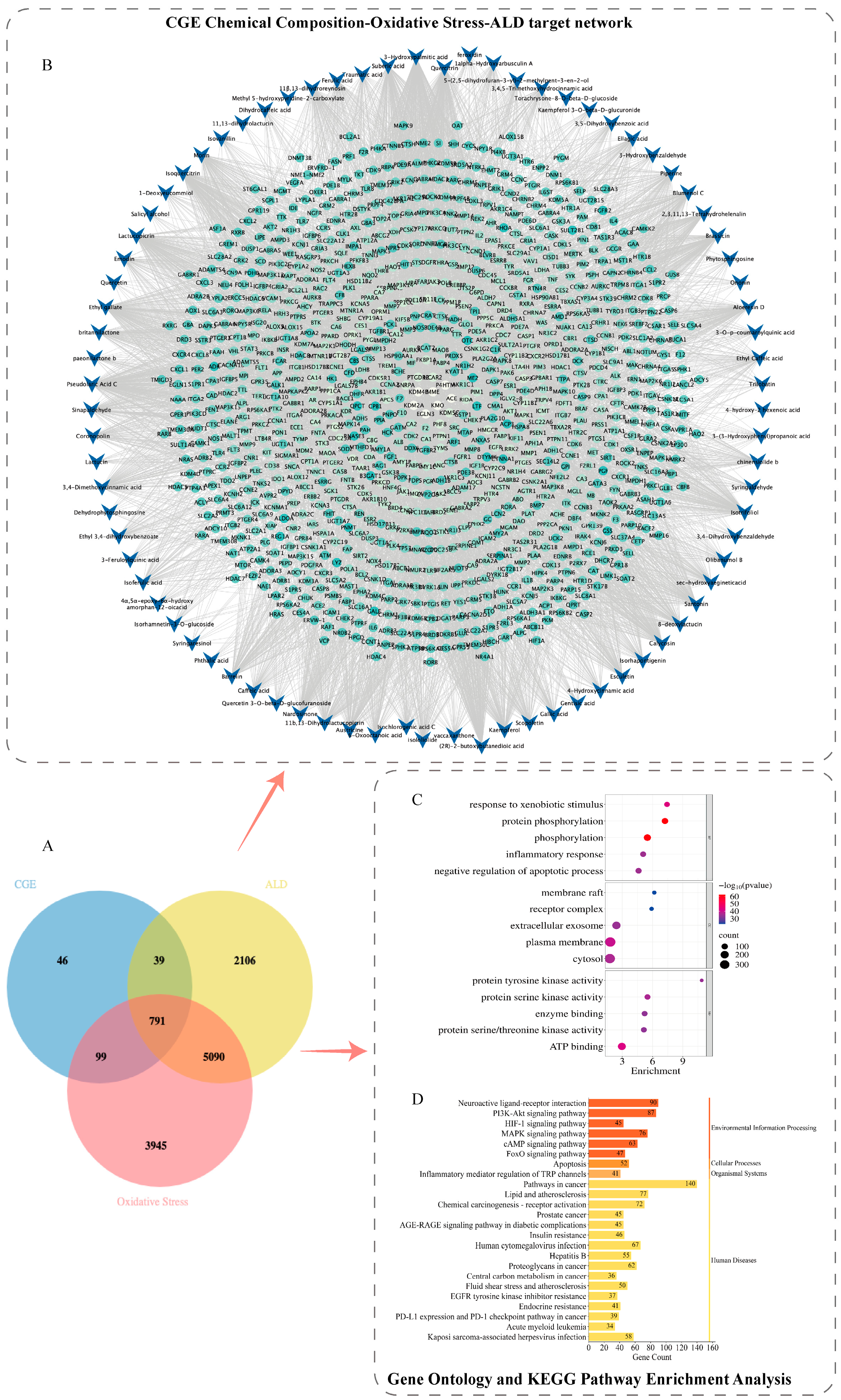 Metabolites 15 00041 g005