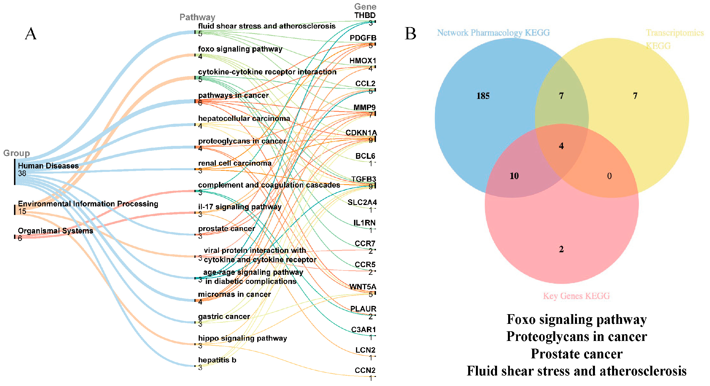 Metabolites 15 00041 g006