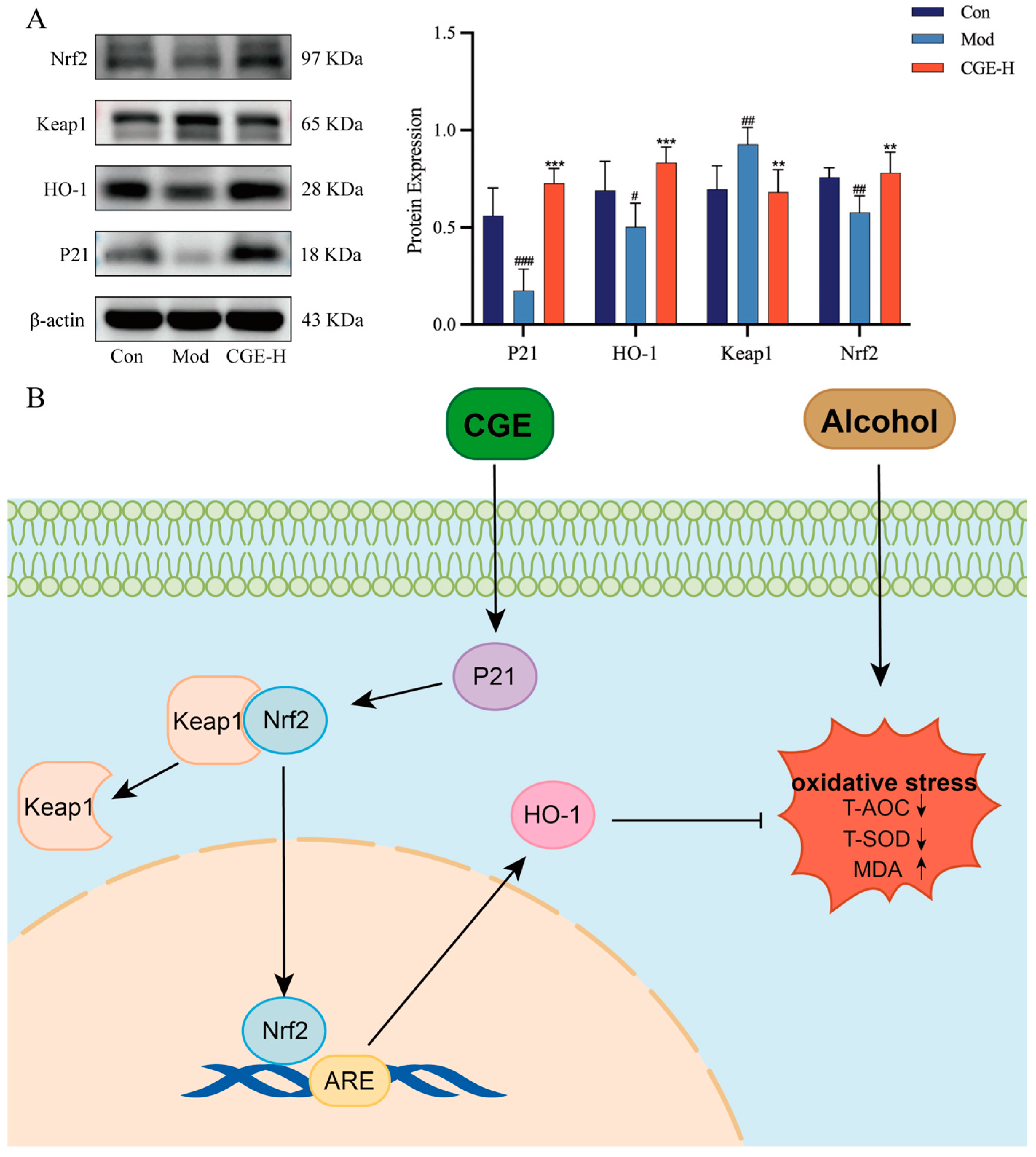 Metabolites 15 00041 g008