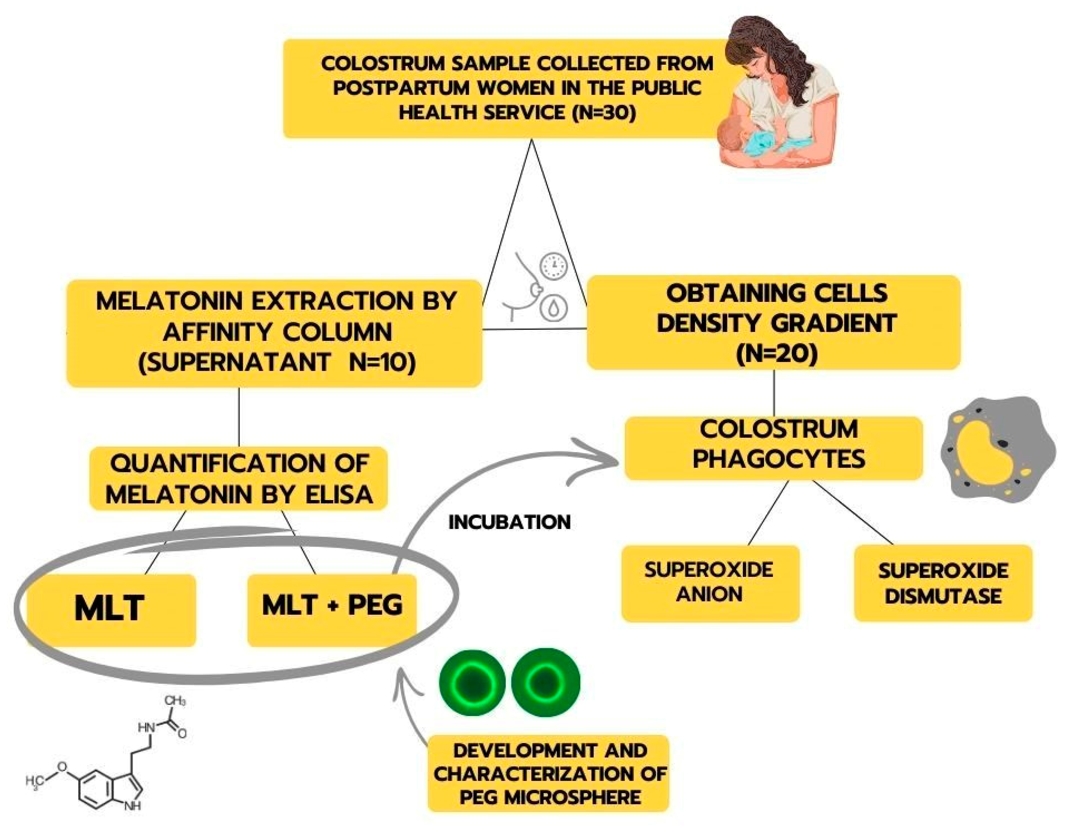 Metabolites 15 00057 g001