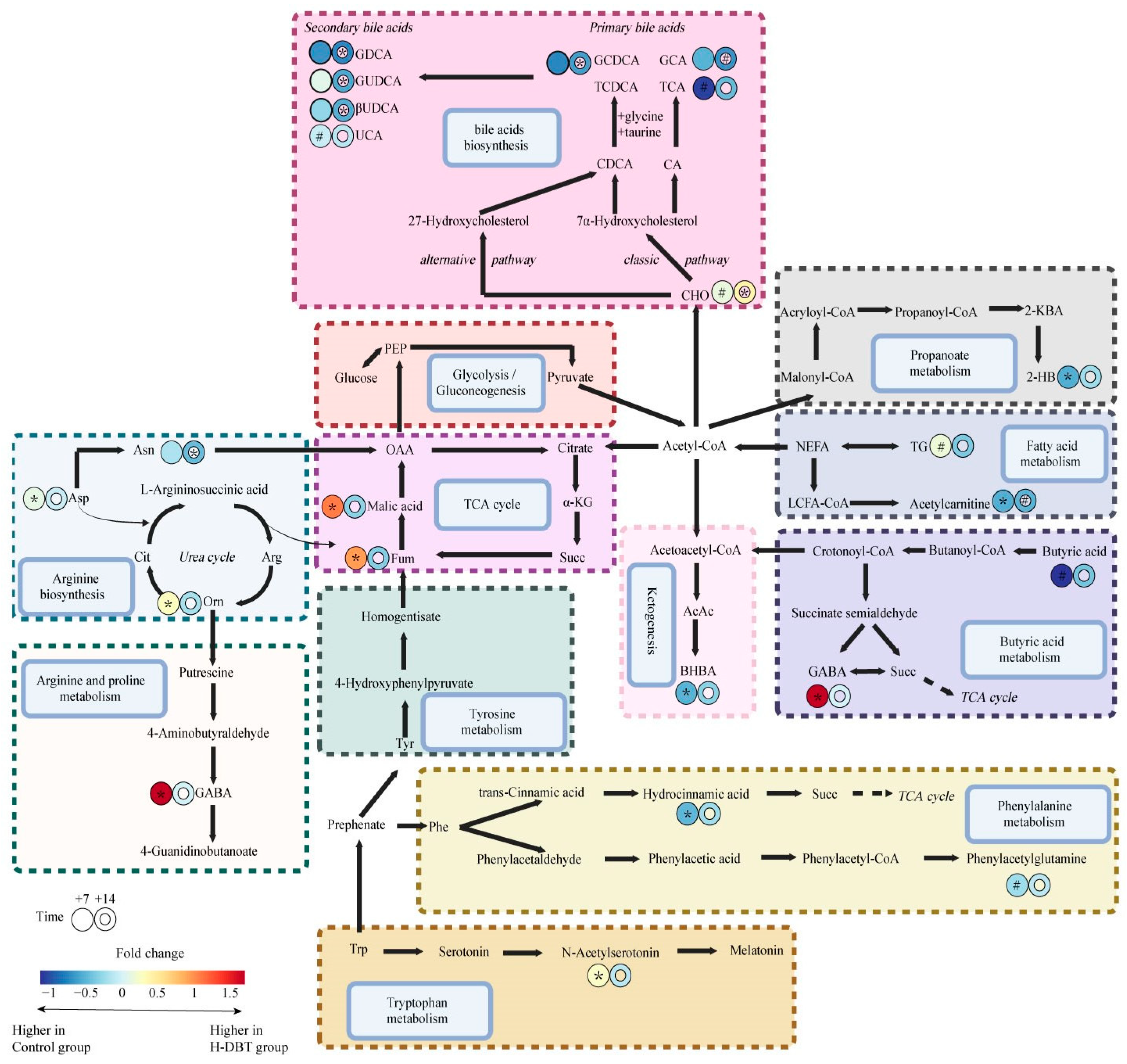 Metabolites 15 00058 g005