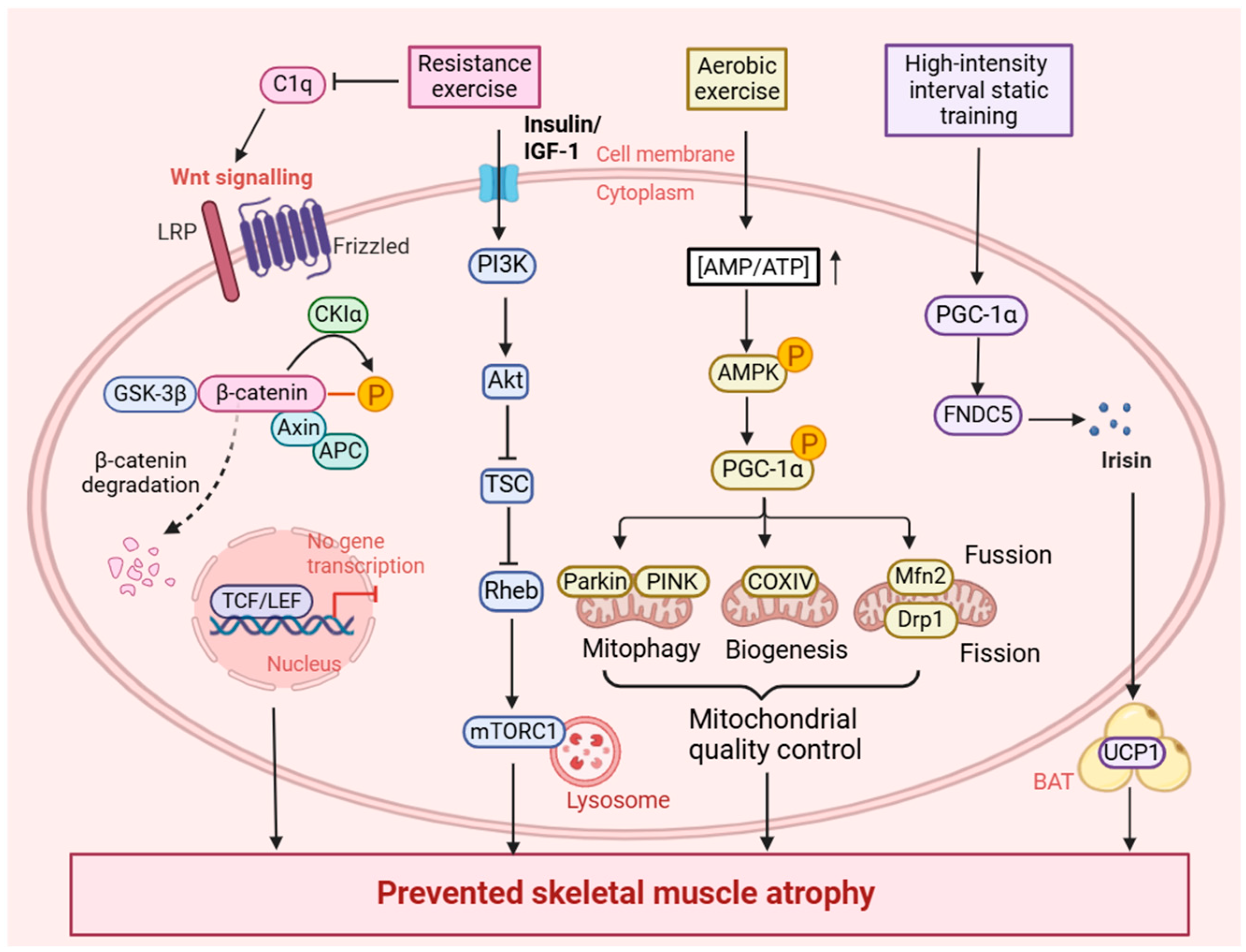 Metabolites 15 00059 g001