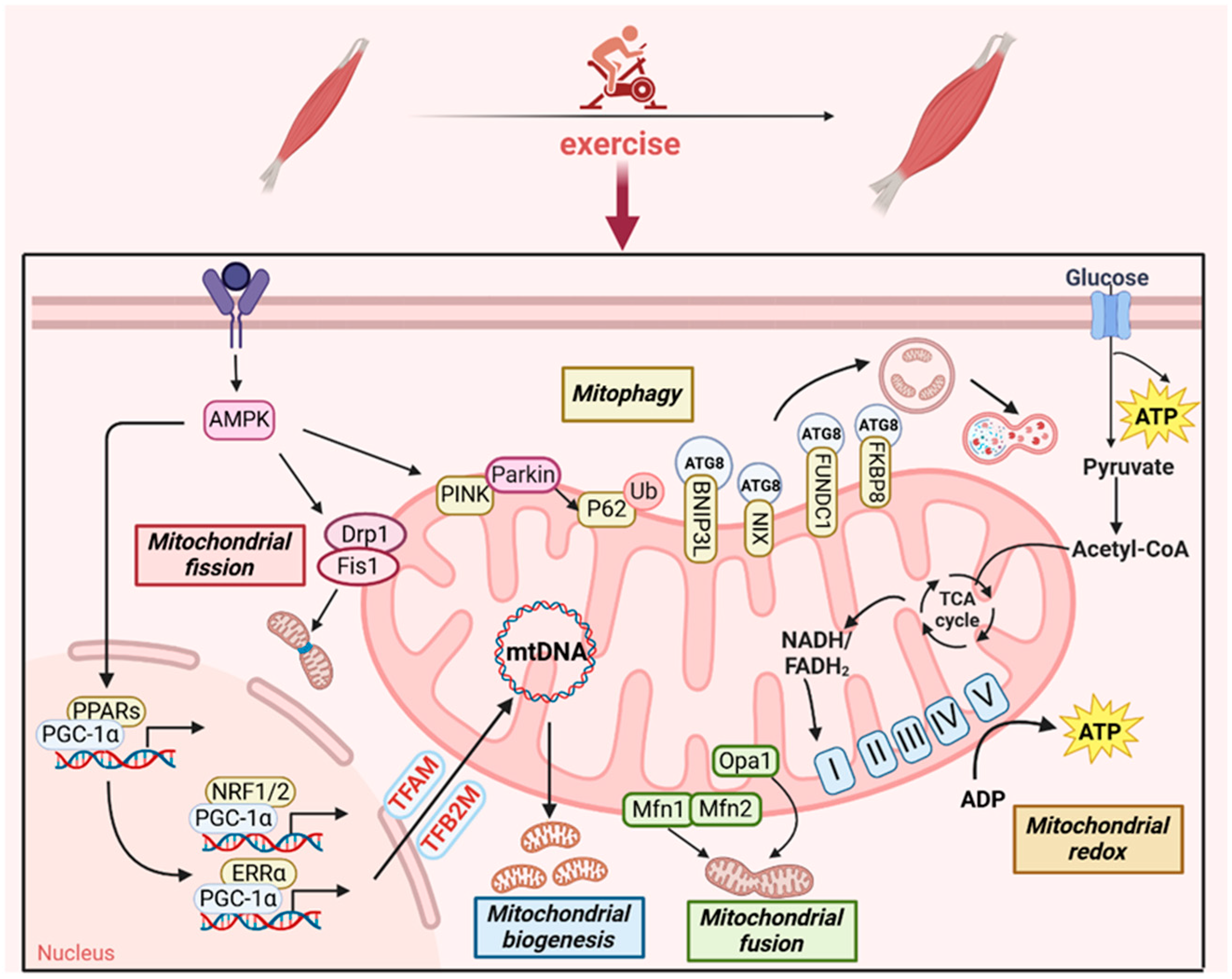 Metabolites 15 00059 g002