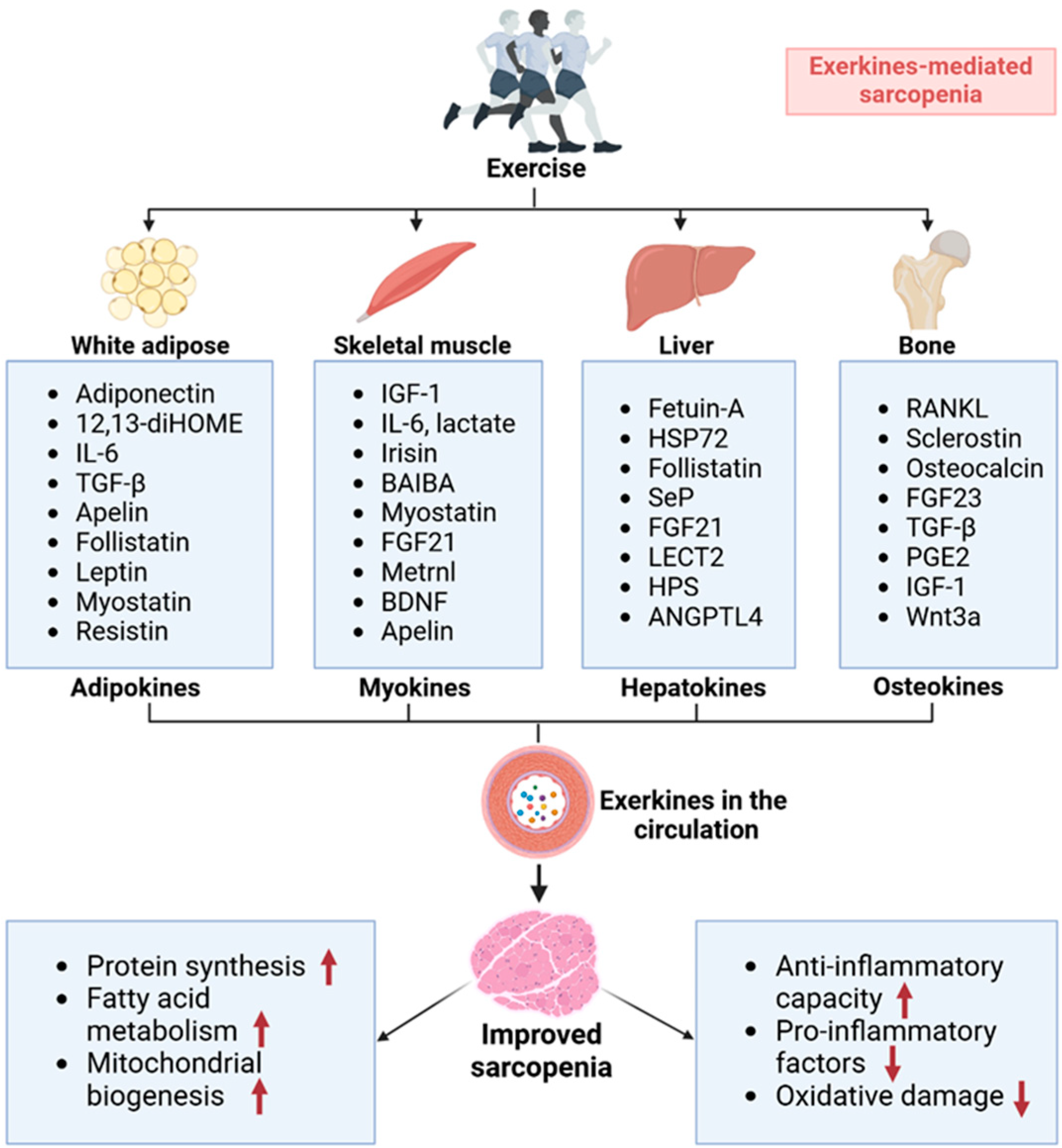 Metabolites 15 00059 g003