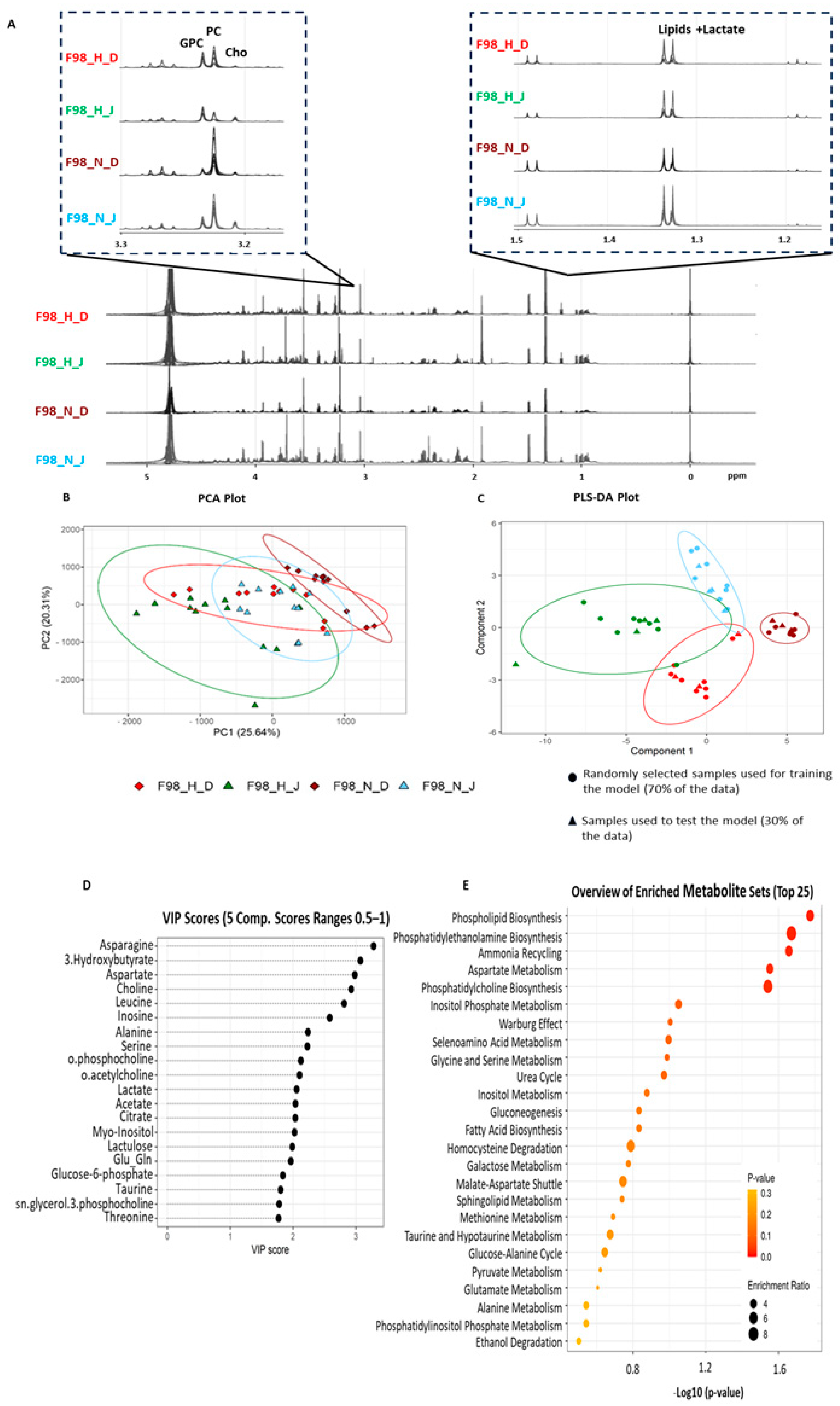 Metabolites 15 00076 g001 Metabolites 15 00076 g001