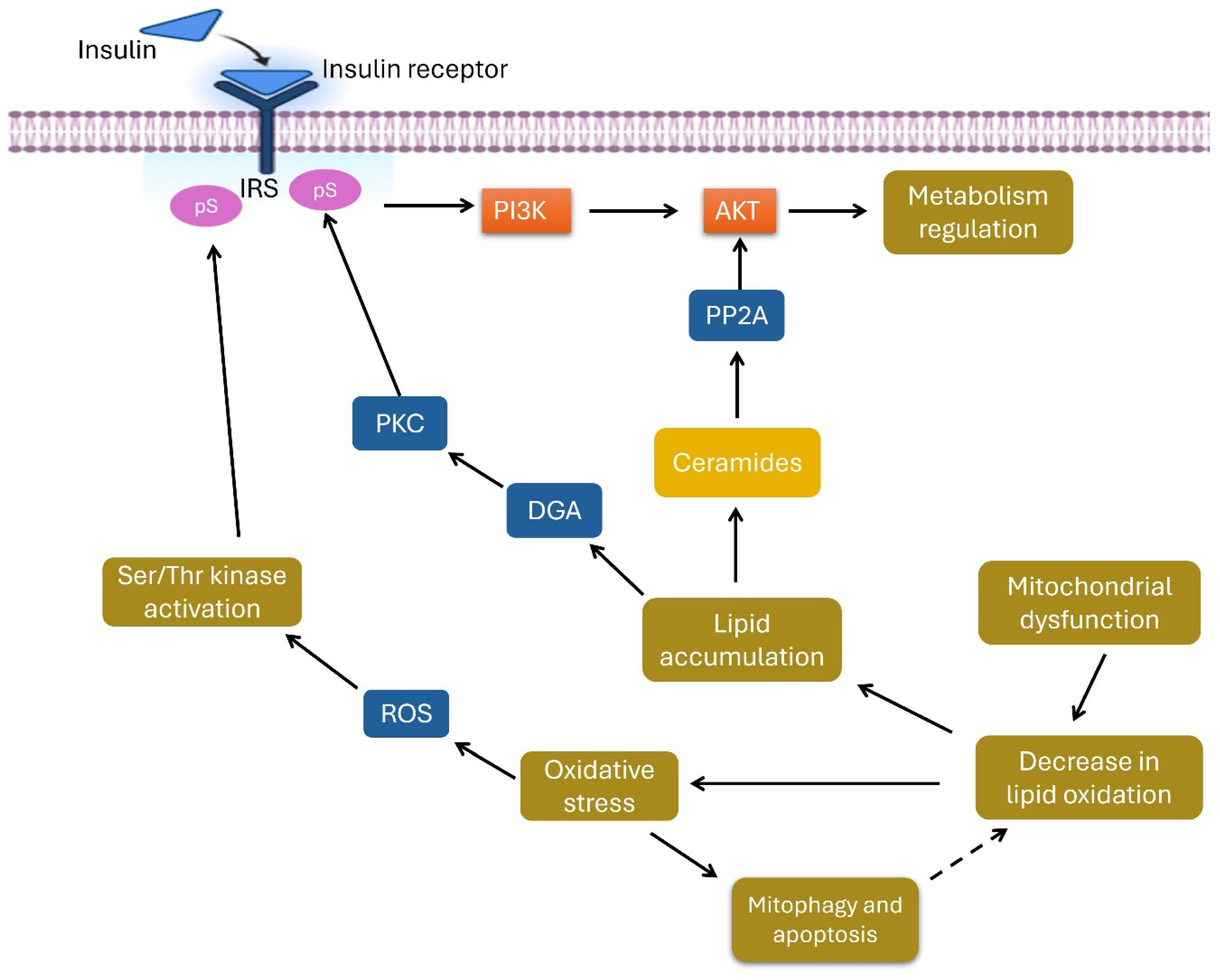 Metabolites 15 00096 g016