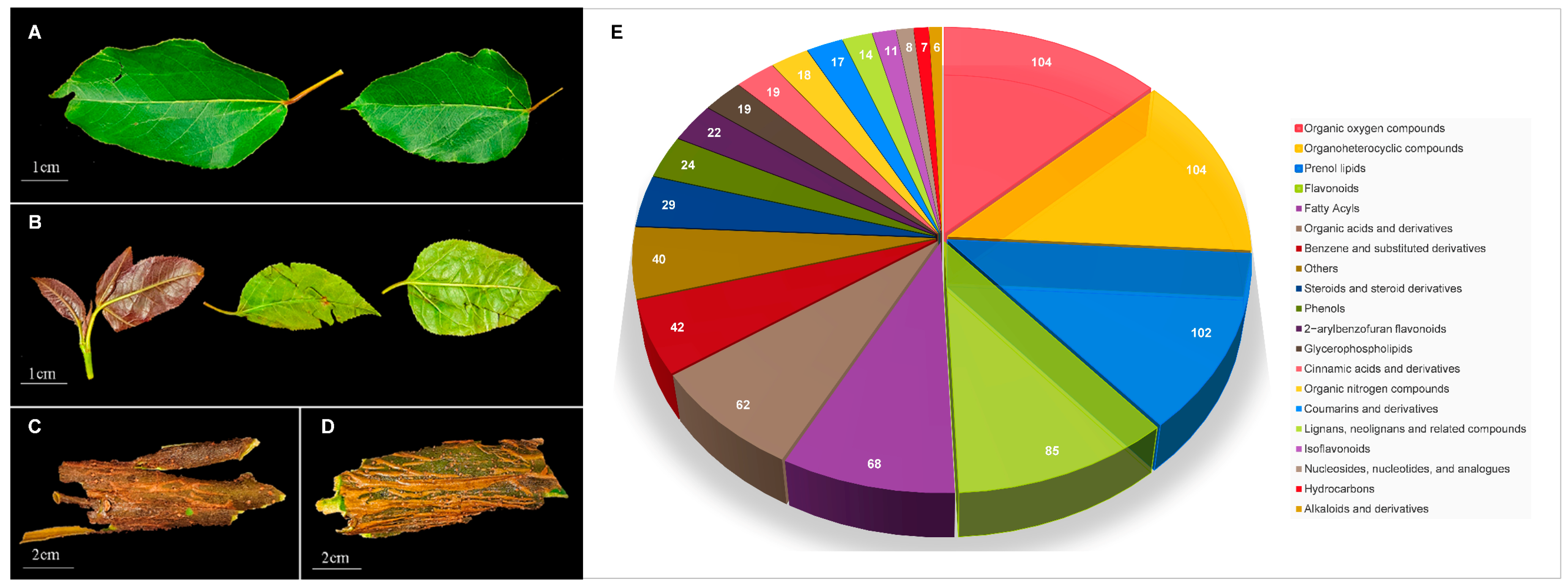 Metabolites 15 00098 g001