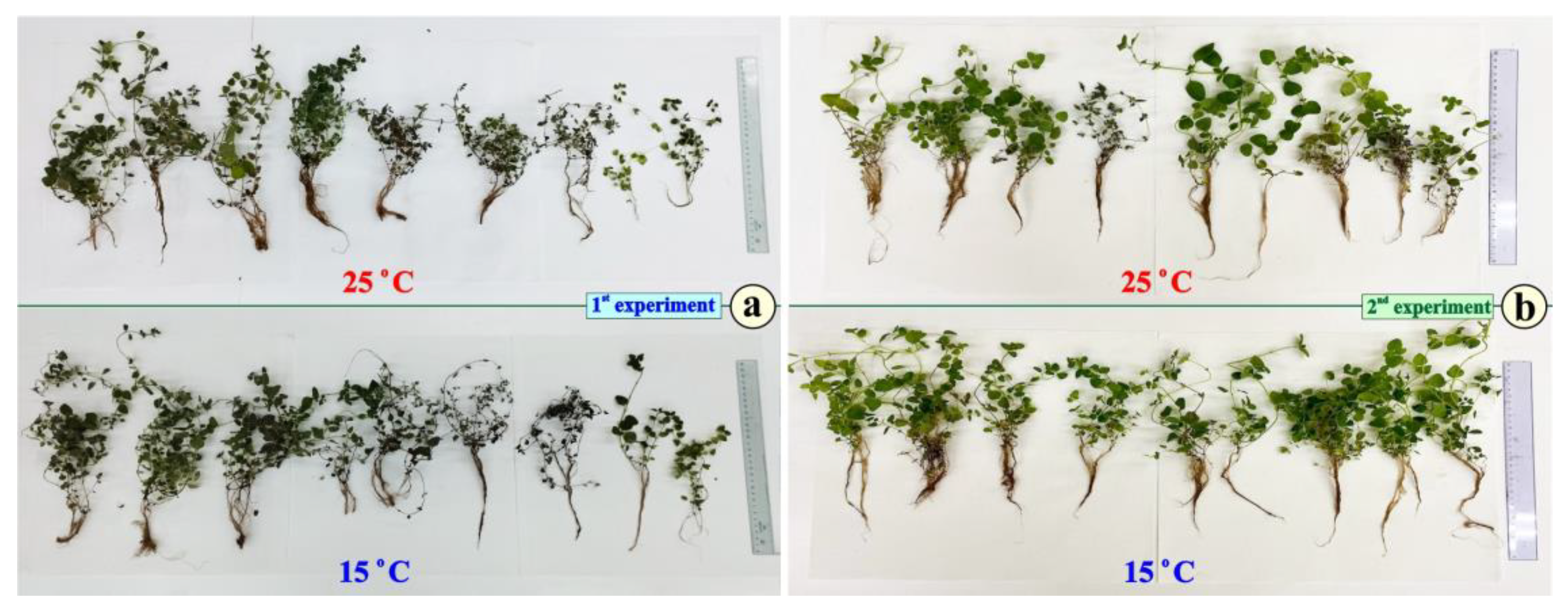 Metabolites 15 00103 g003 Metabolites 15 00103 g003