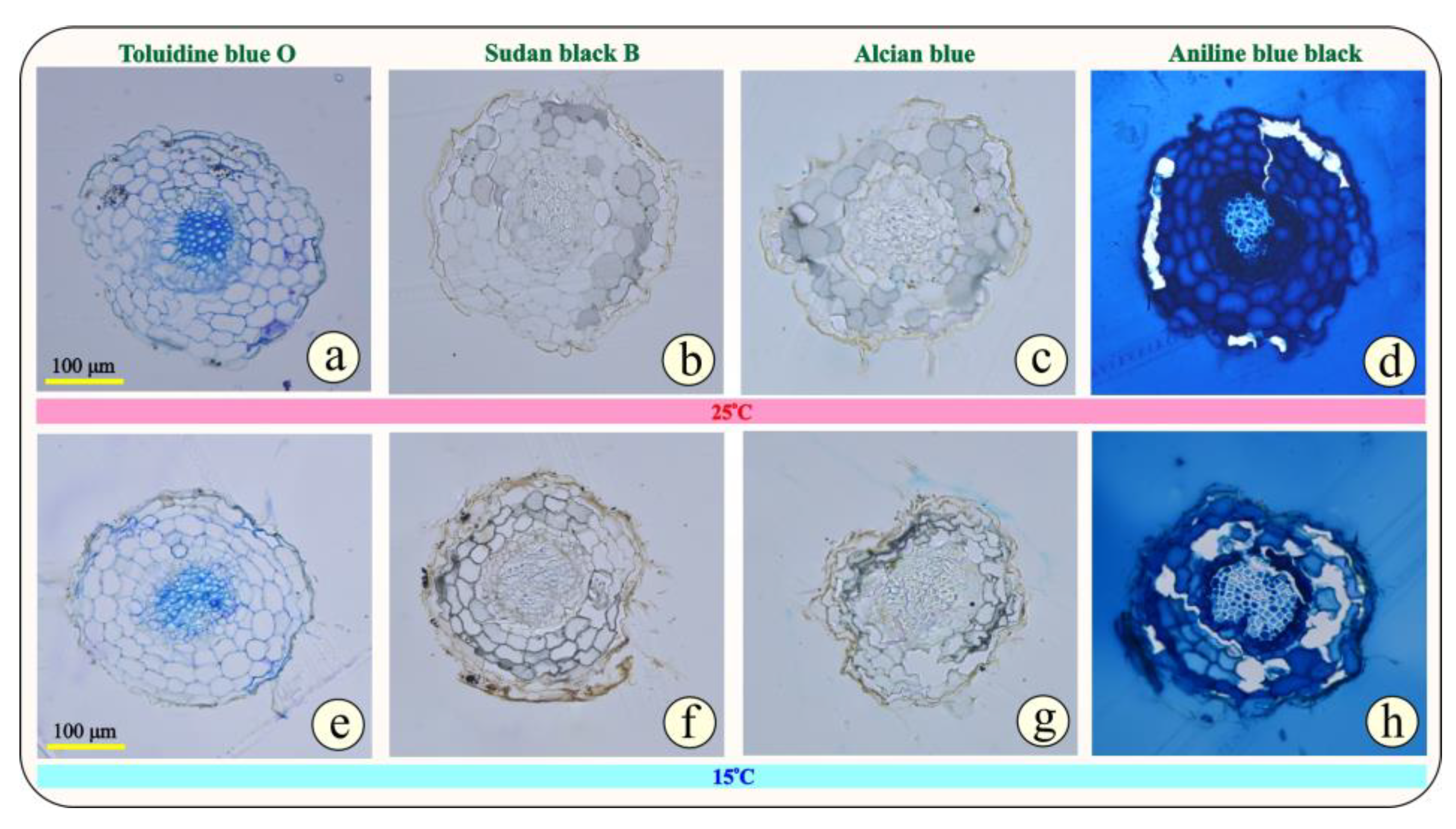 Metabolites 15 00103 g005 Metabolites 15 00103 g005