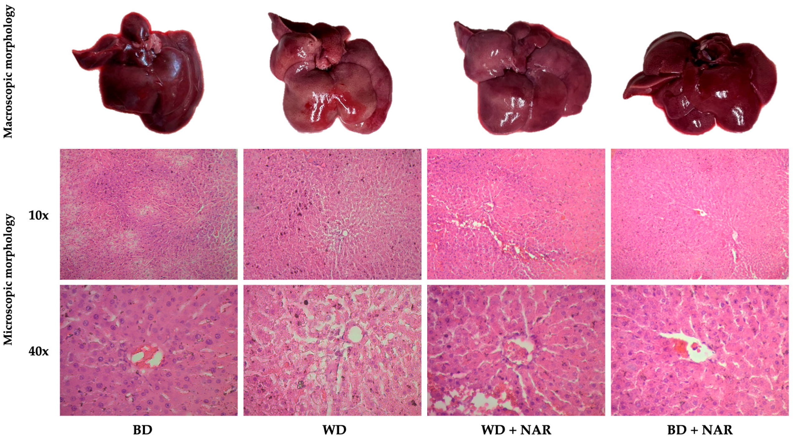 Metabolites 15 00109 g004 Metabolites 15 00109 g004