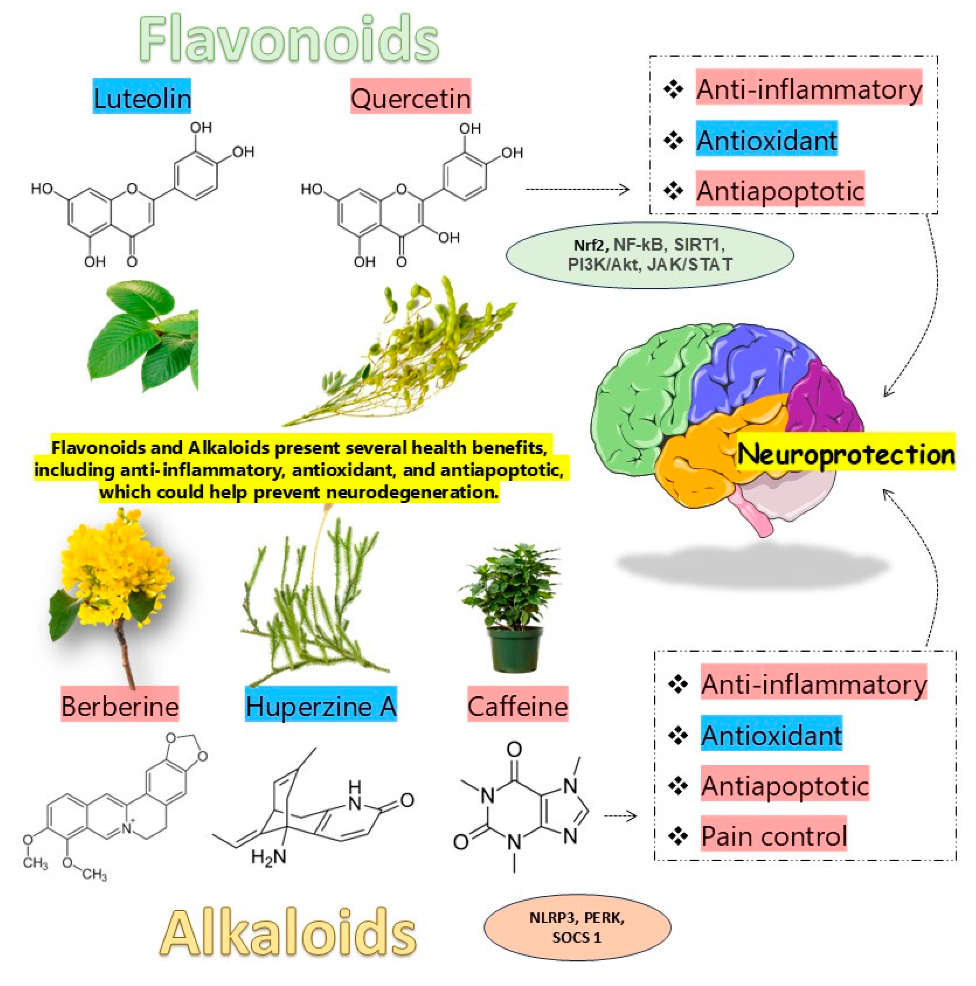 Metabolites 15 00124 g002