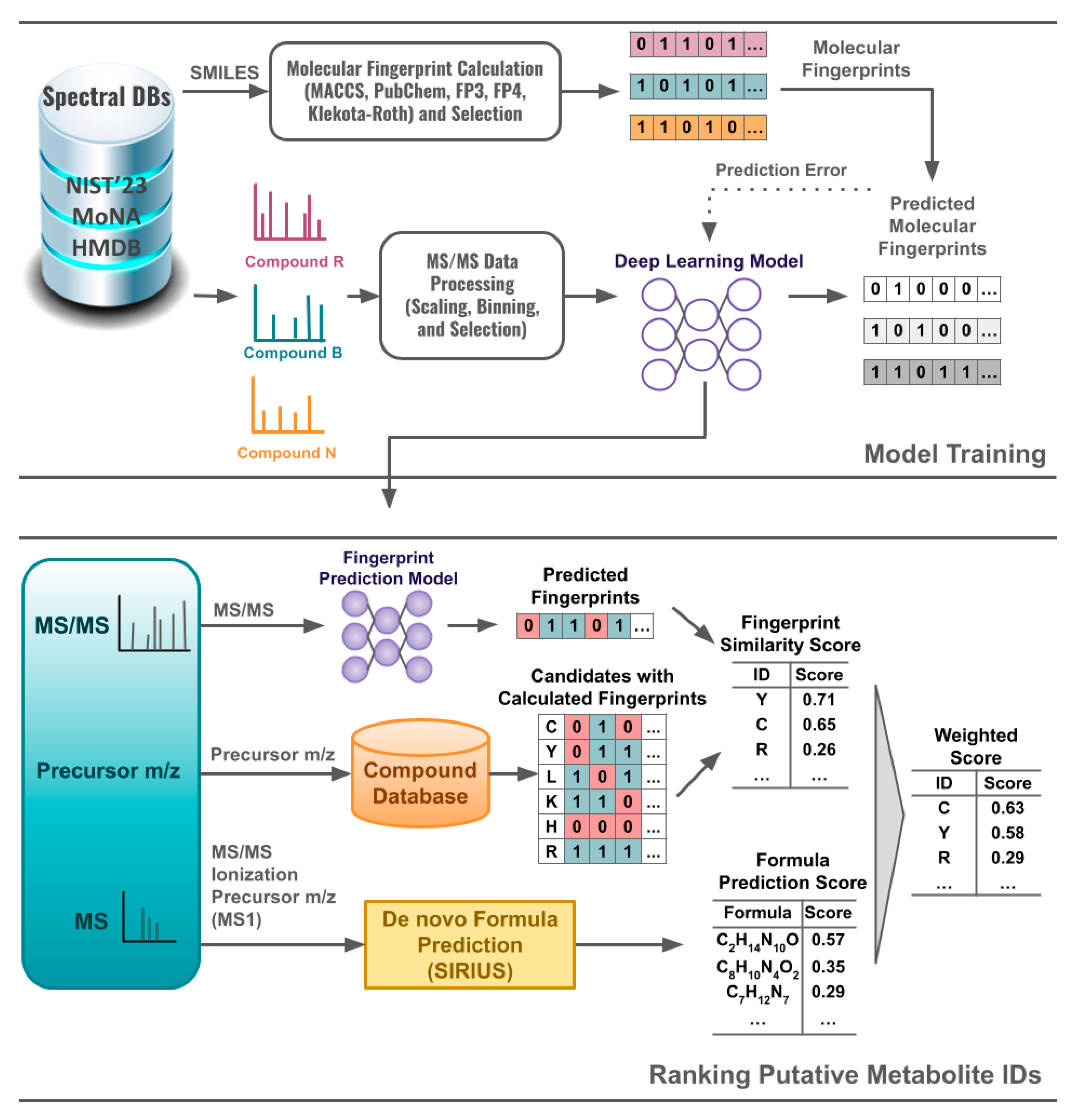 Metabolites 15 00132 g001