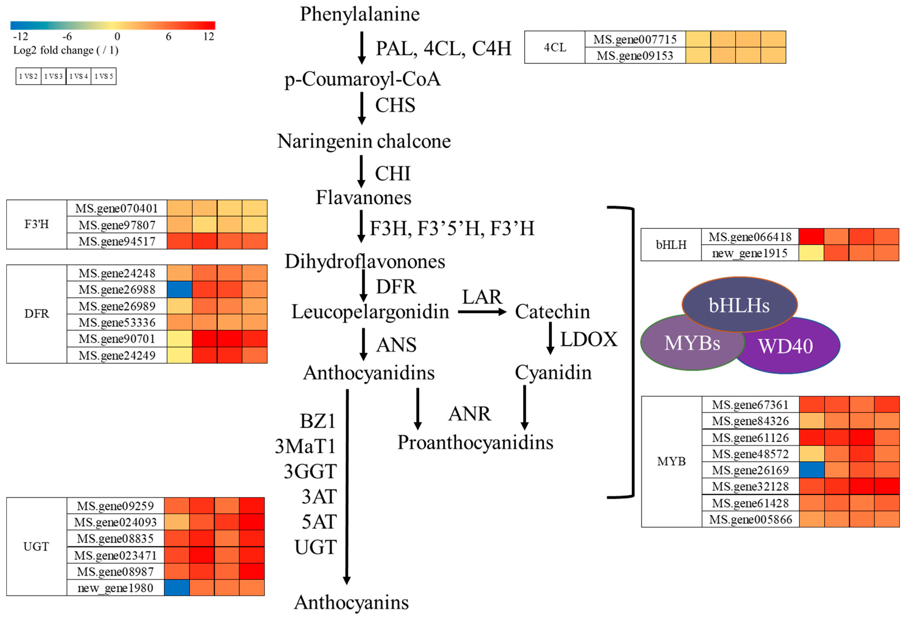 Metabolites 15 00135 g005