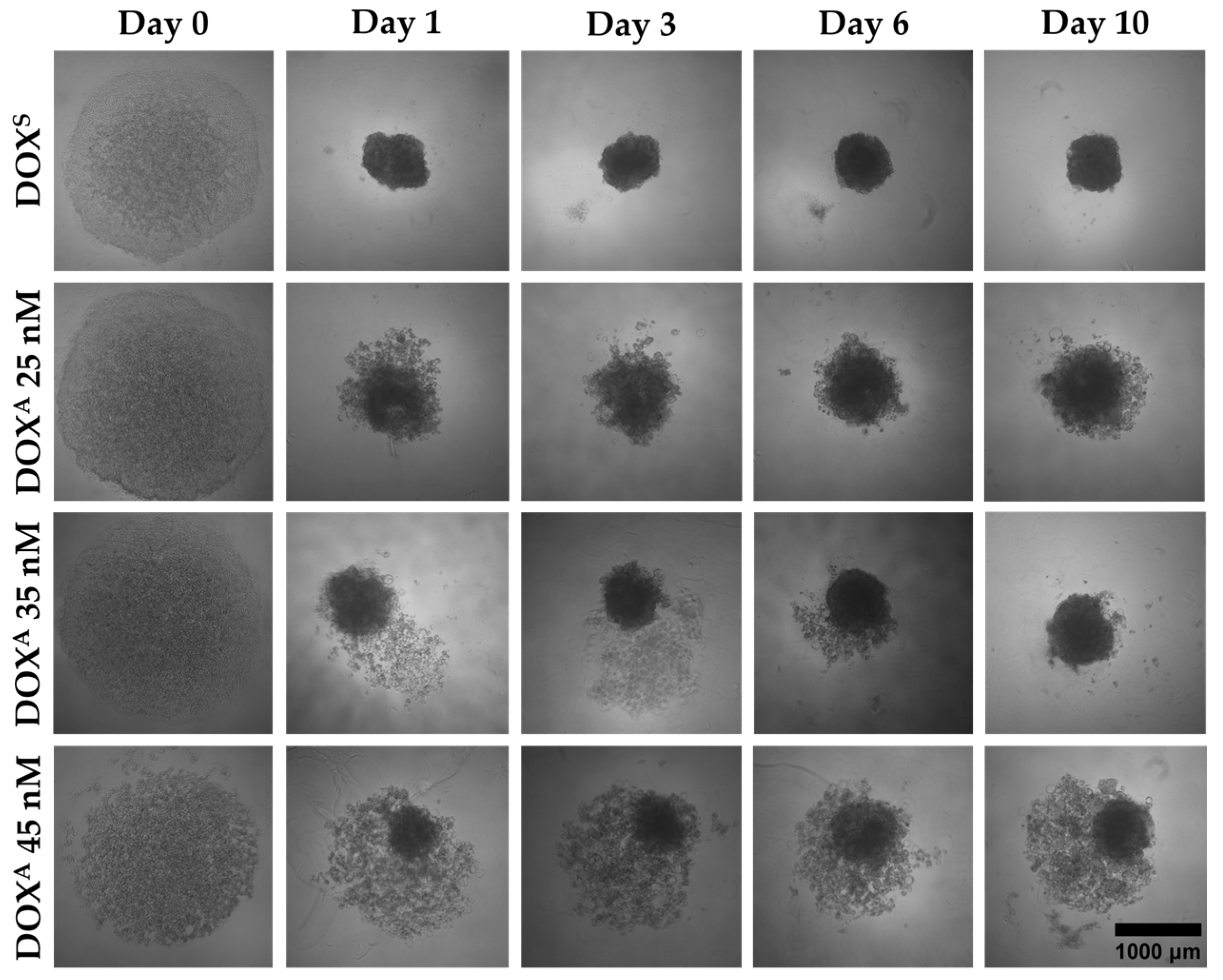 Metabolites 15 00136 g002 Metabolites 15 00136 g002