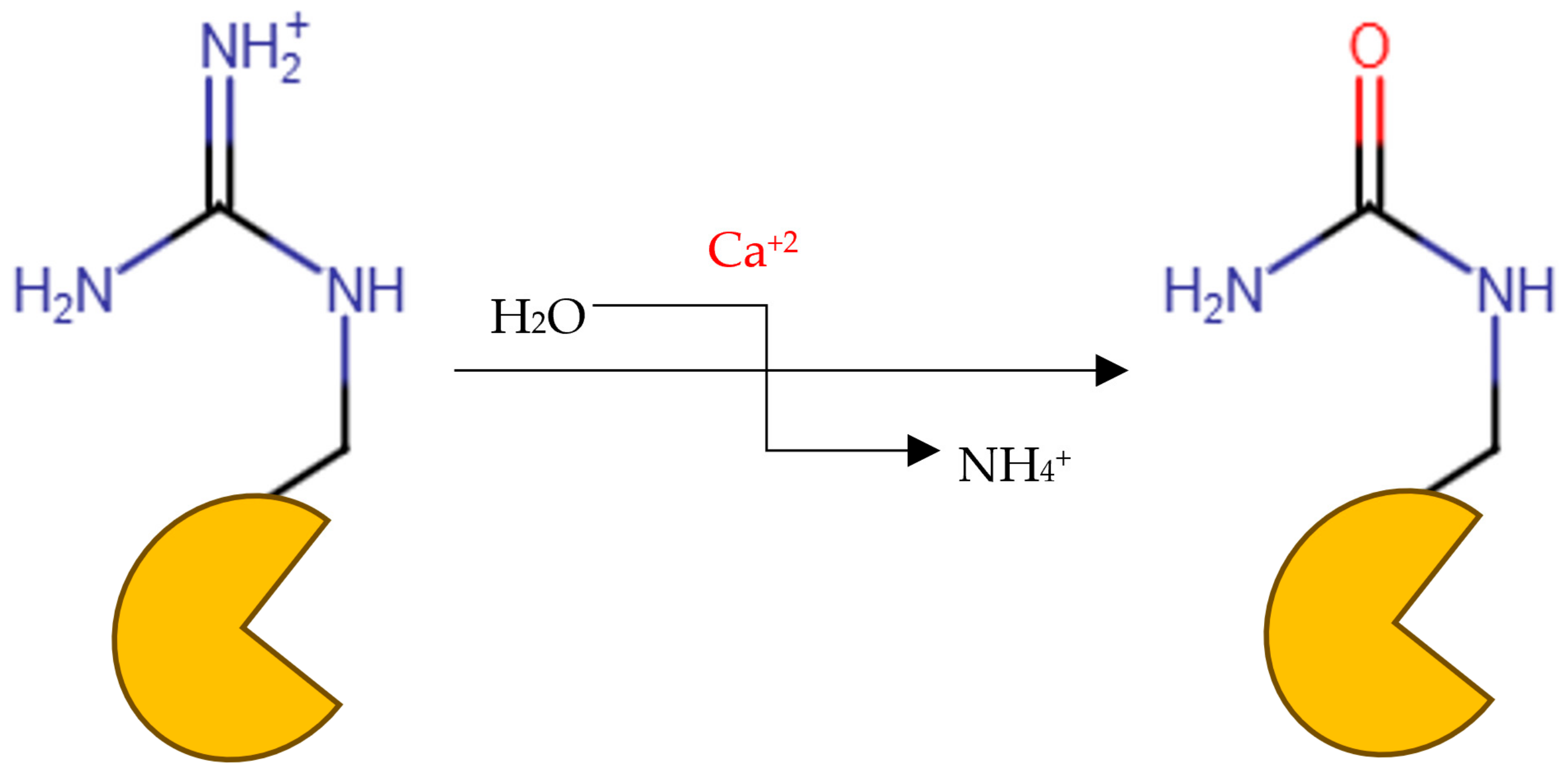 Metabolites 15 00156 g001