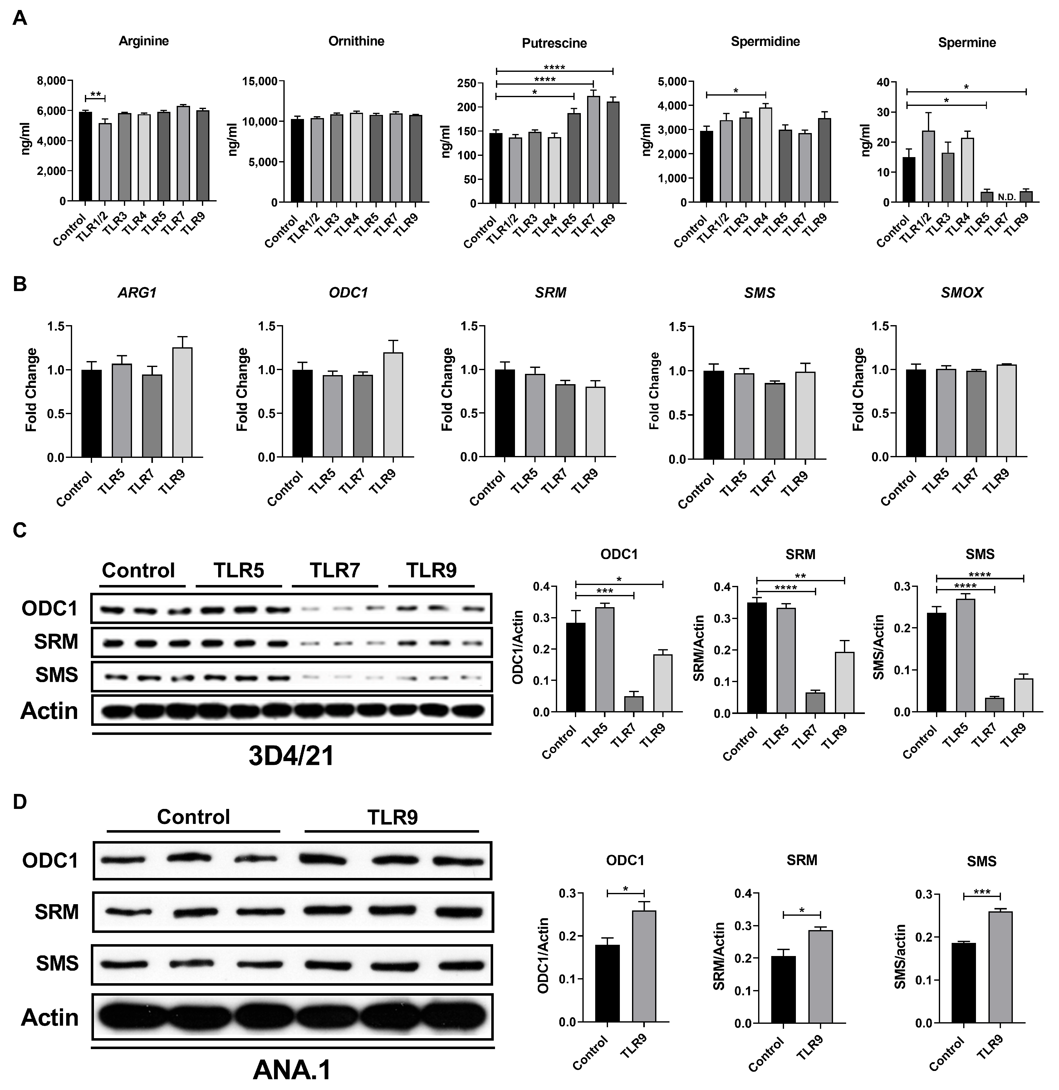 Metabolites 15 00162 g001
