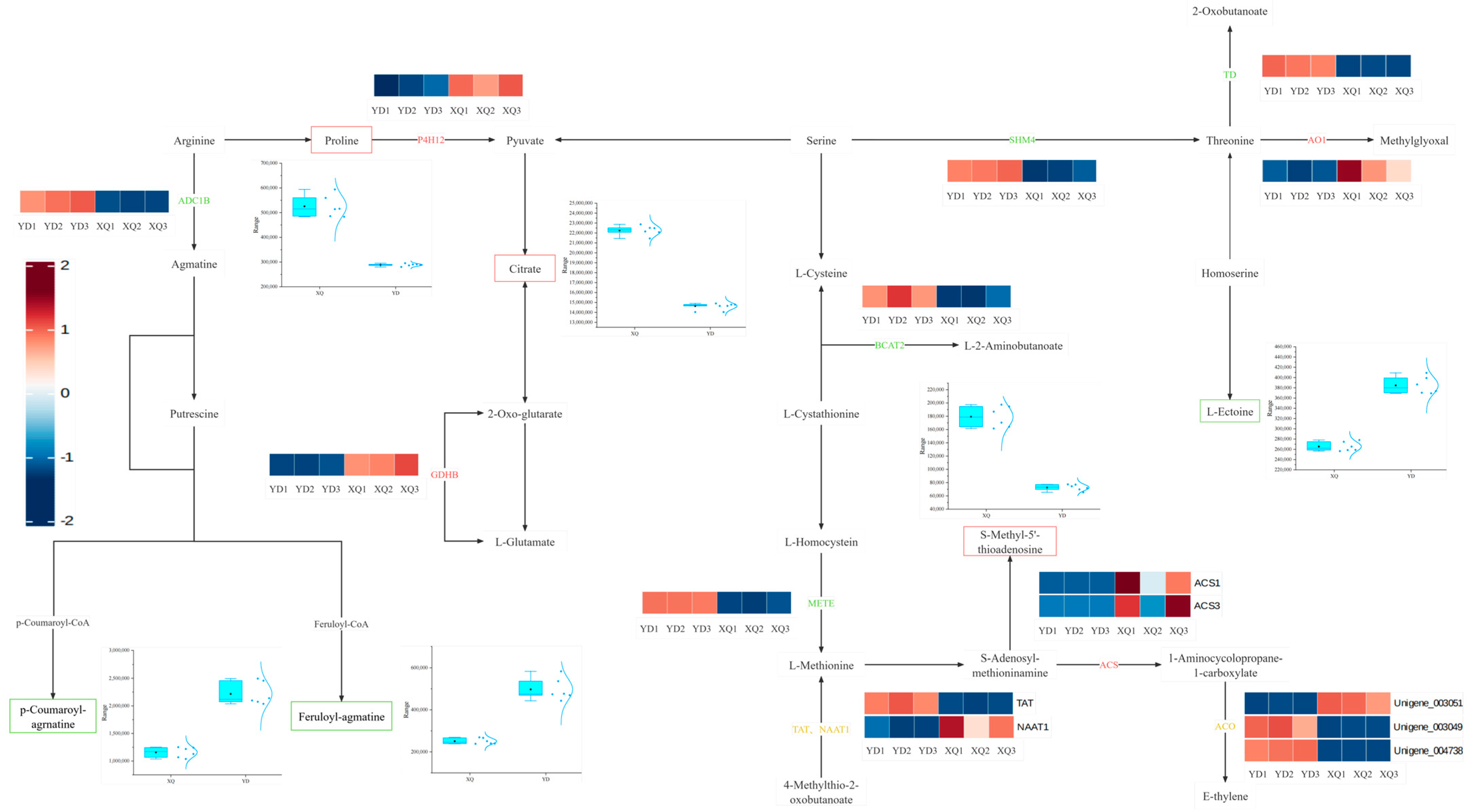 Metabolites 15 00172 g004