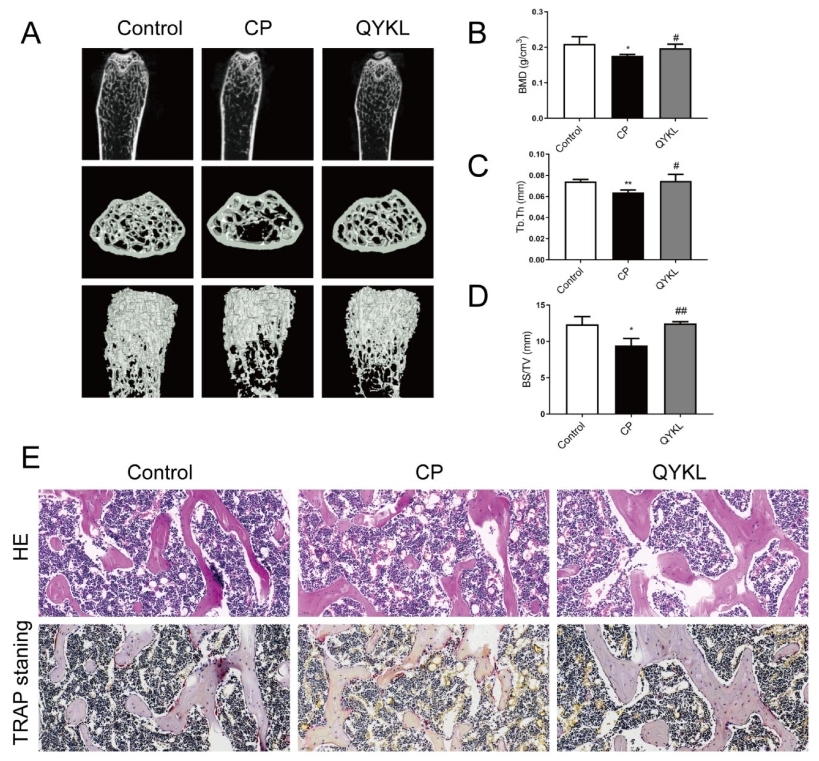 Metabolites 15 00173 g008