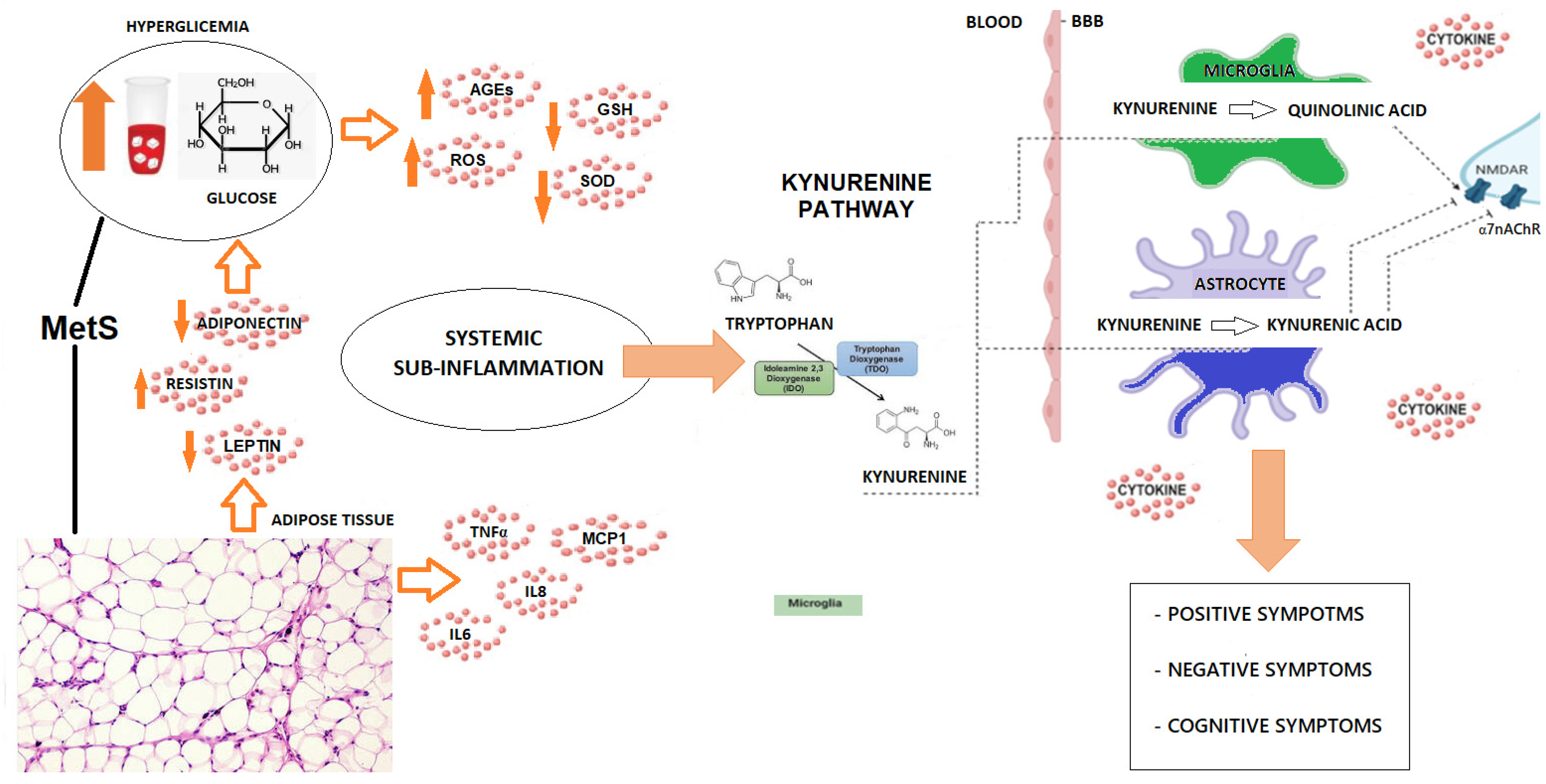 Metabolites 15 00176 g001 Metabolites 15 00176 g001
