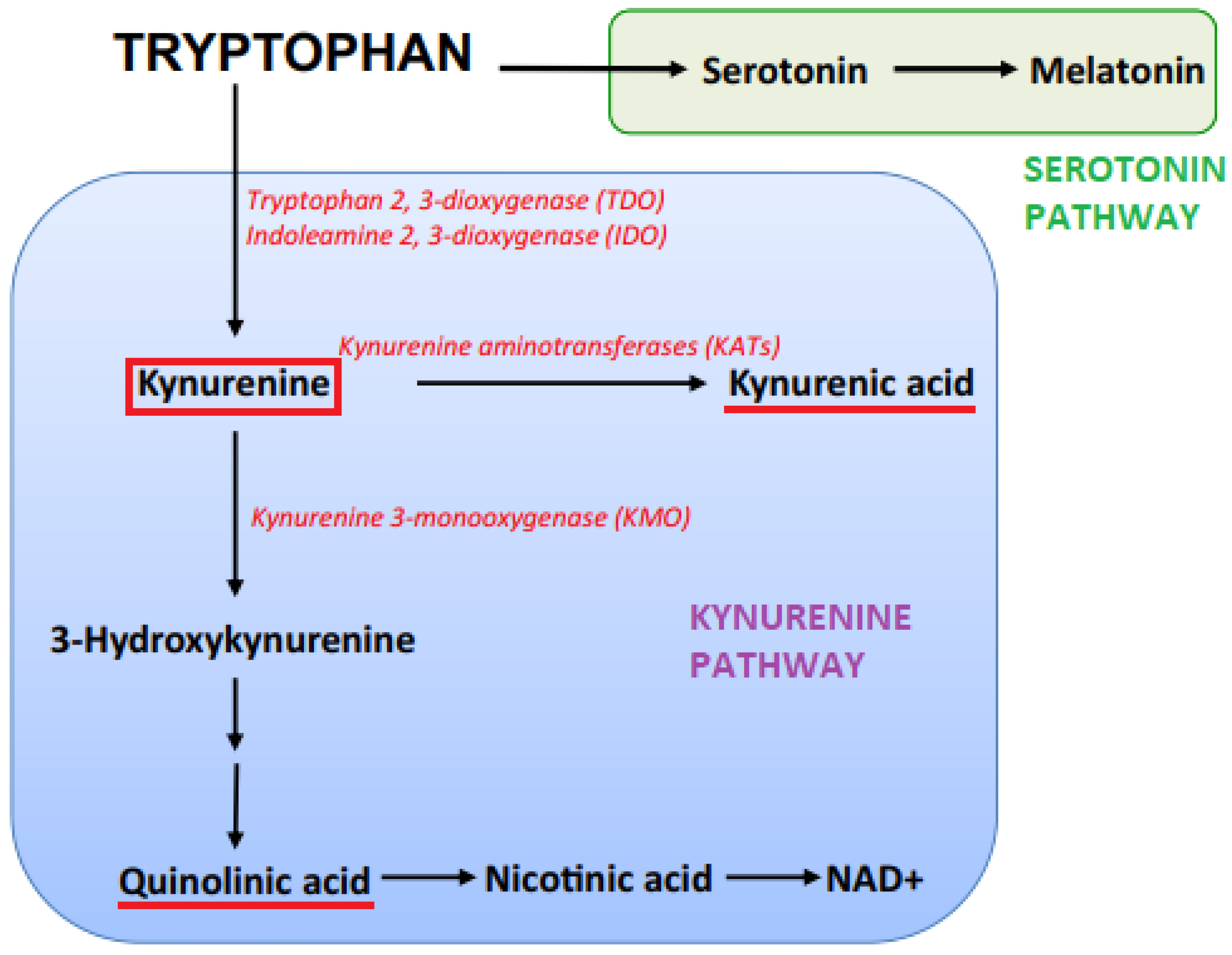 Metabolites 15 00176 g002 Metabolites 15 00176 g002