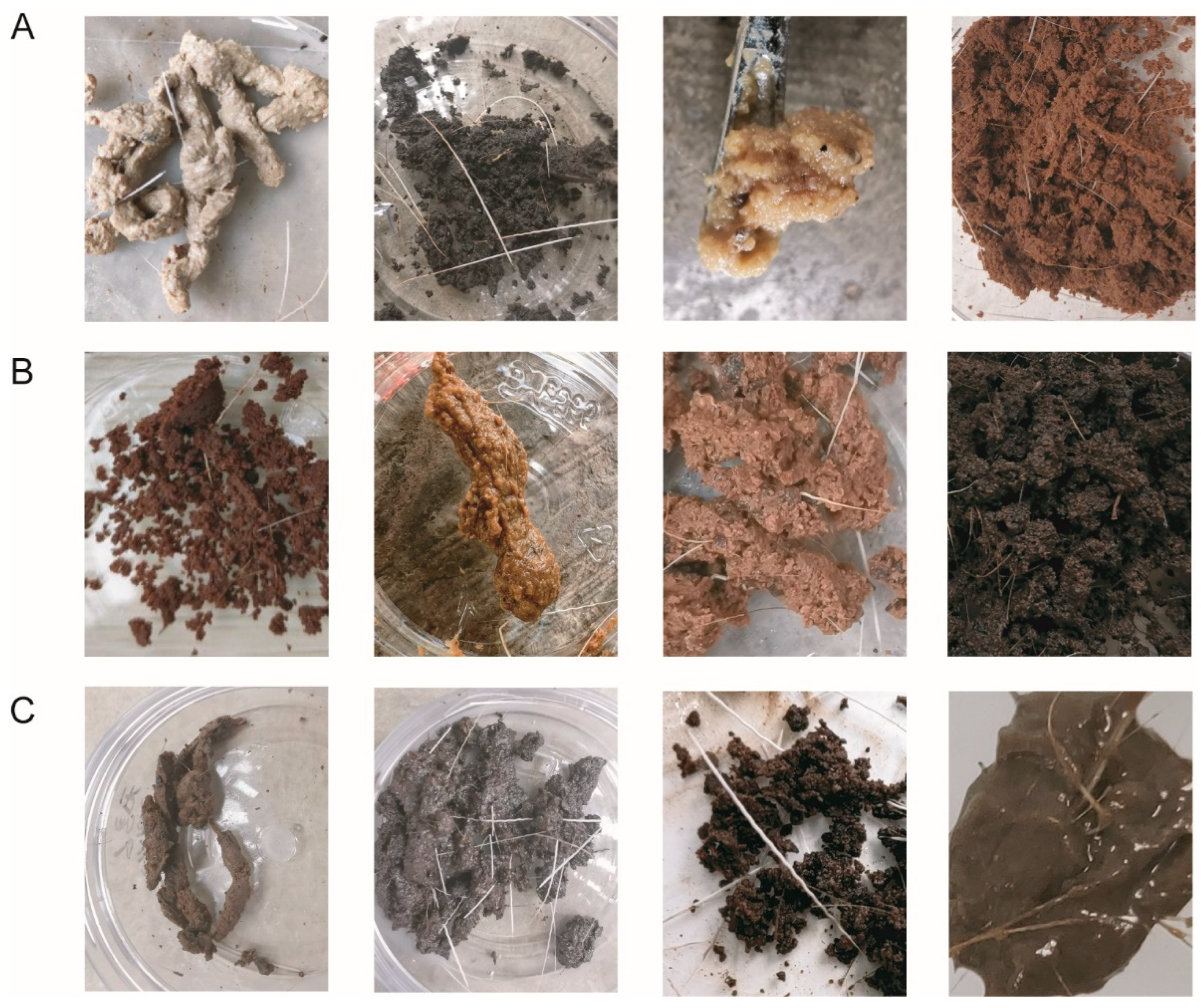 Metabolites 15 00181 g001