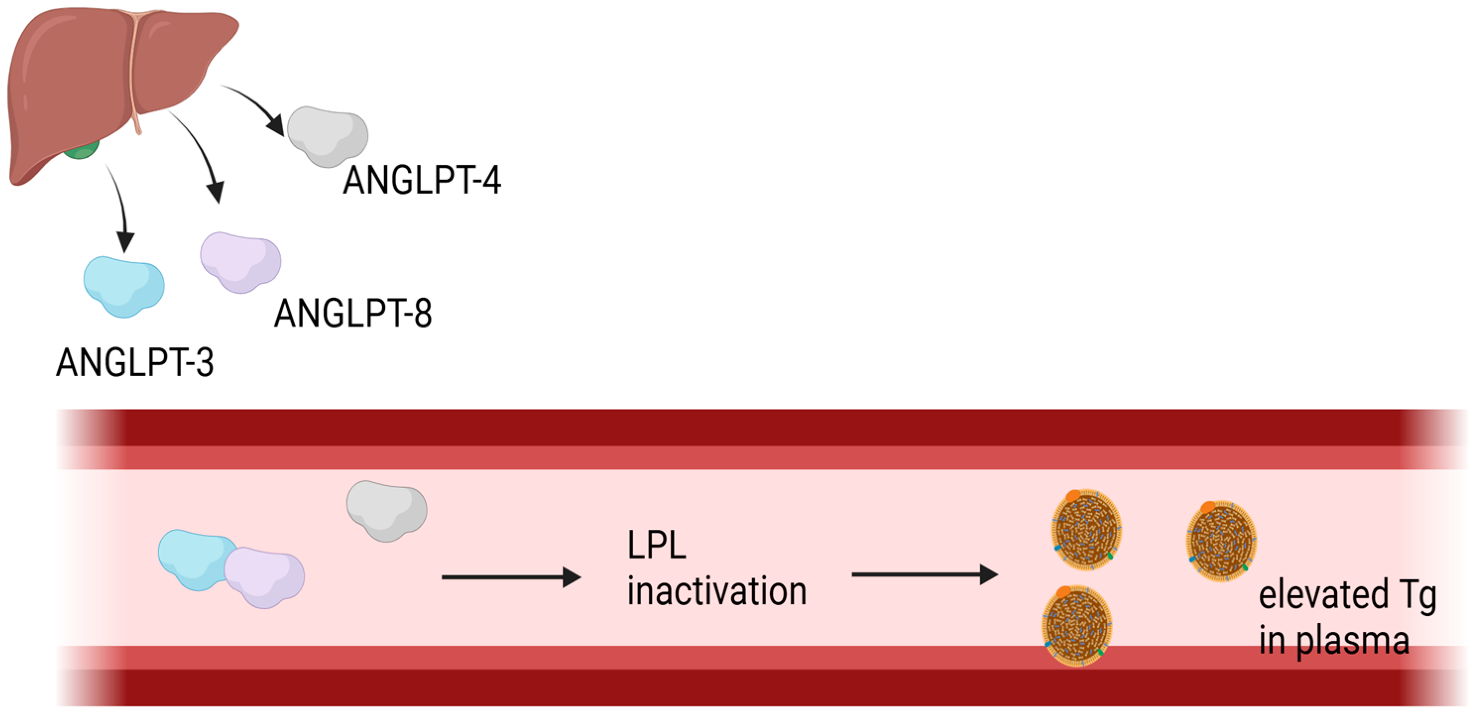 Metabolites 15 00184 g001 Metabolites 15 00184 g001