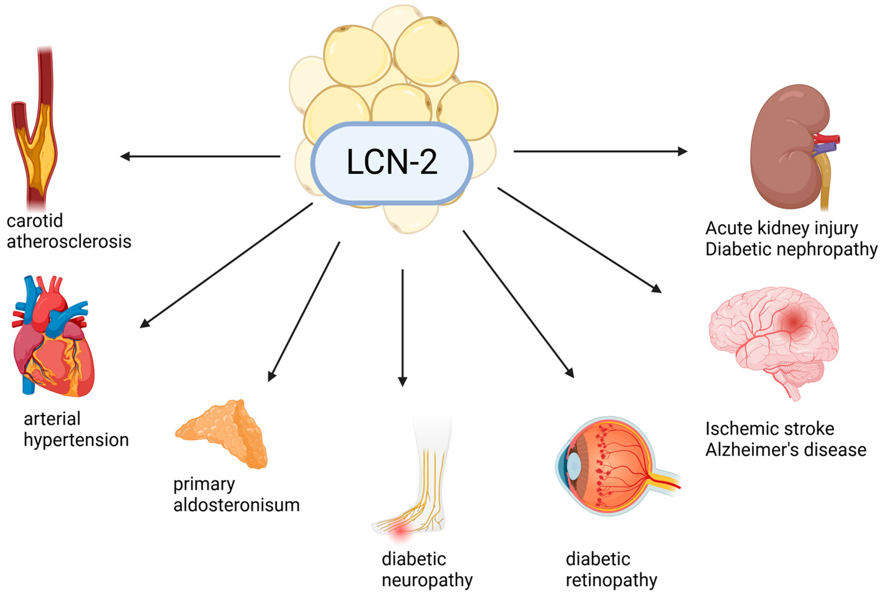Metabolites 15 00184 g002 Metabolites 15 00184 g002
