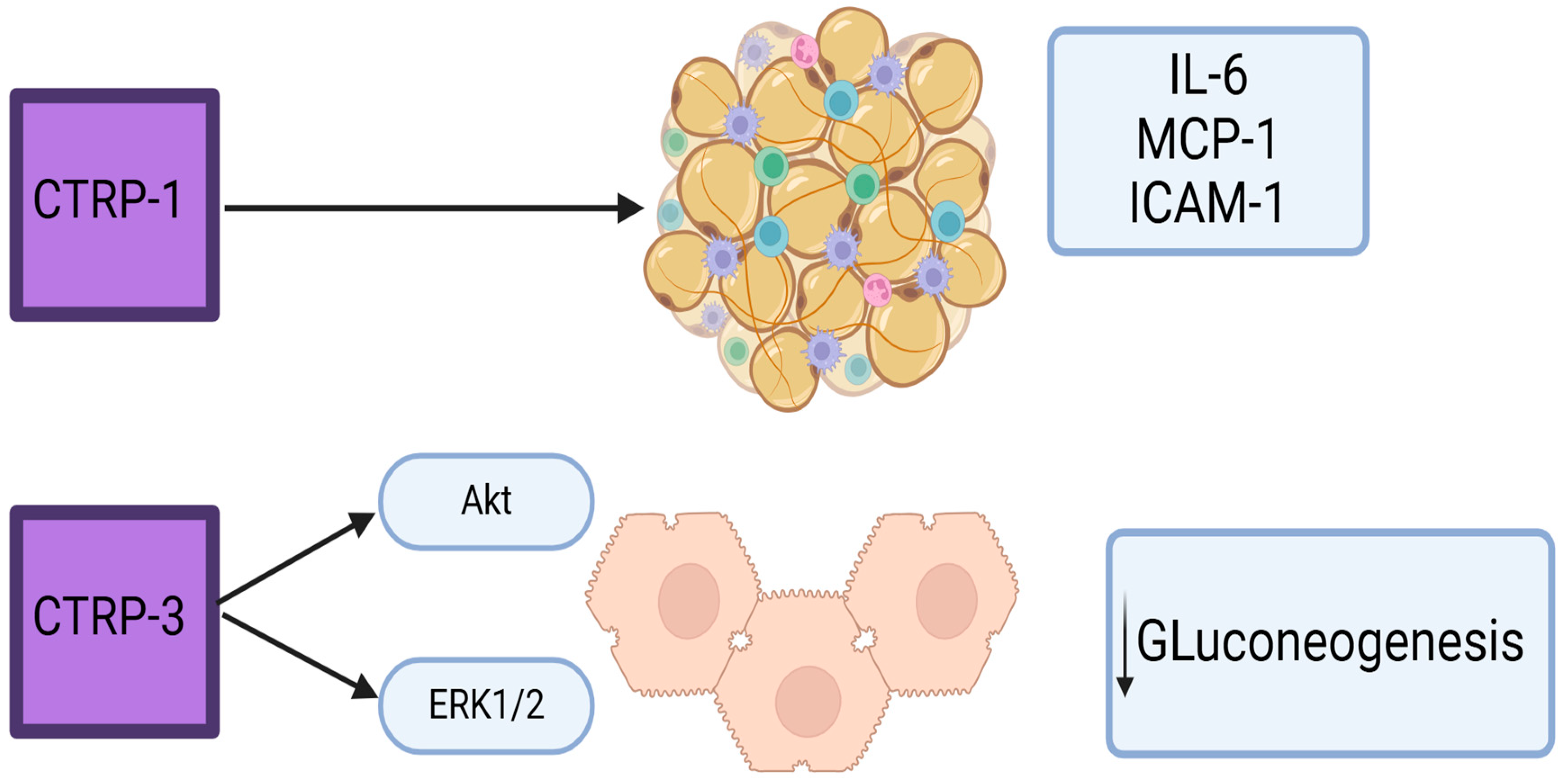 Metabolites 15 00184 g003 Metabolites 15 00184 g003