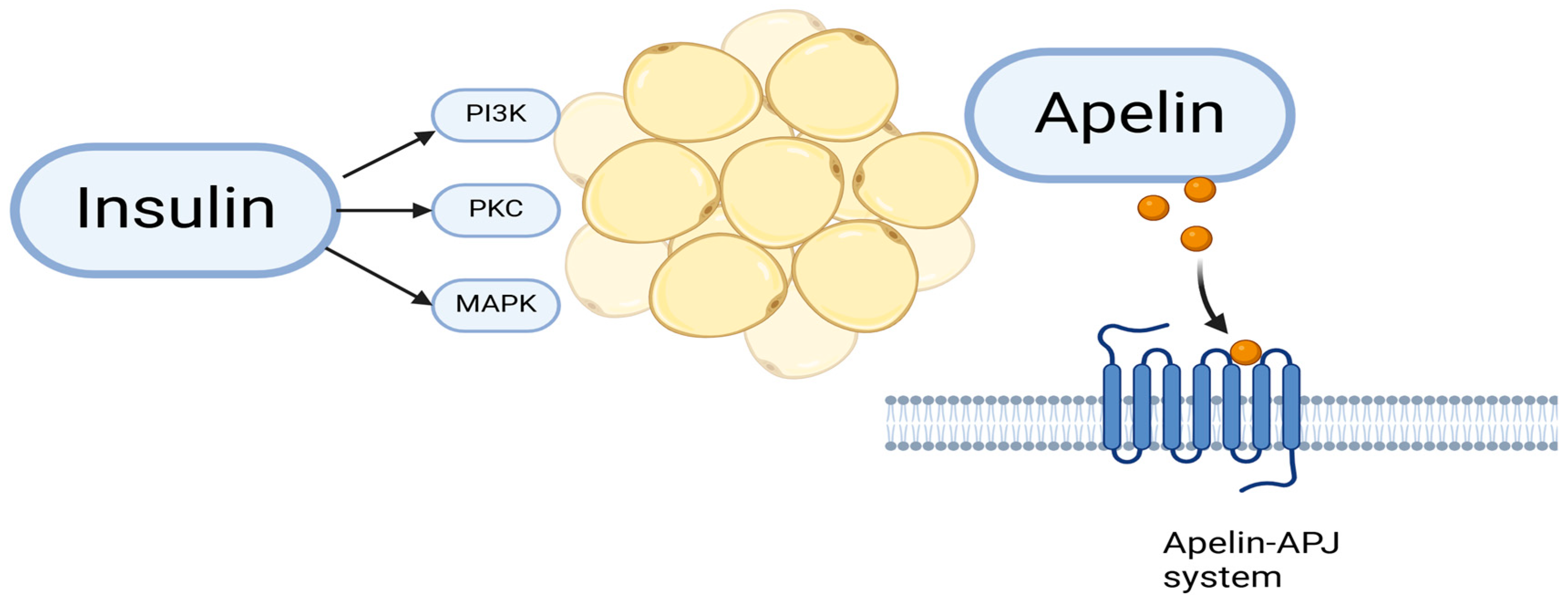 Metabolites 15 00184 g004 Metabolites 15 00184 g004