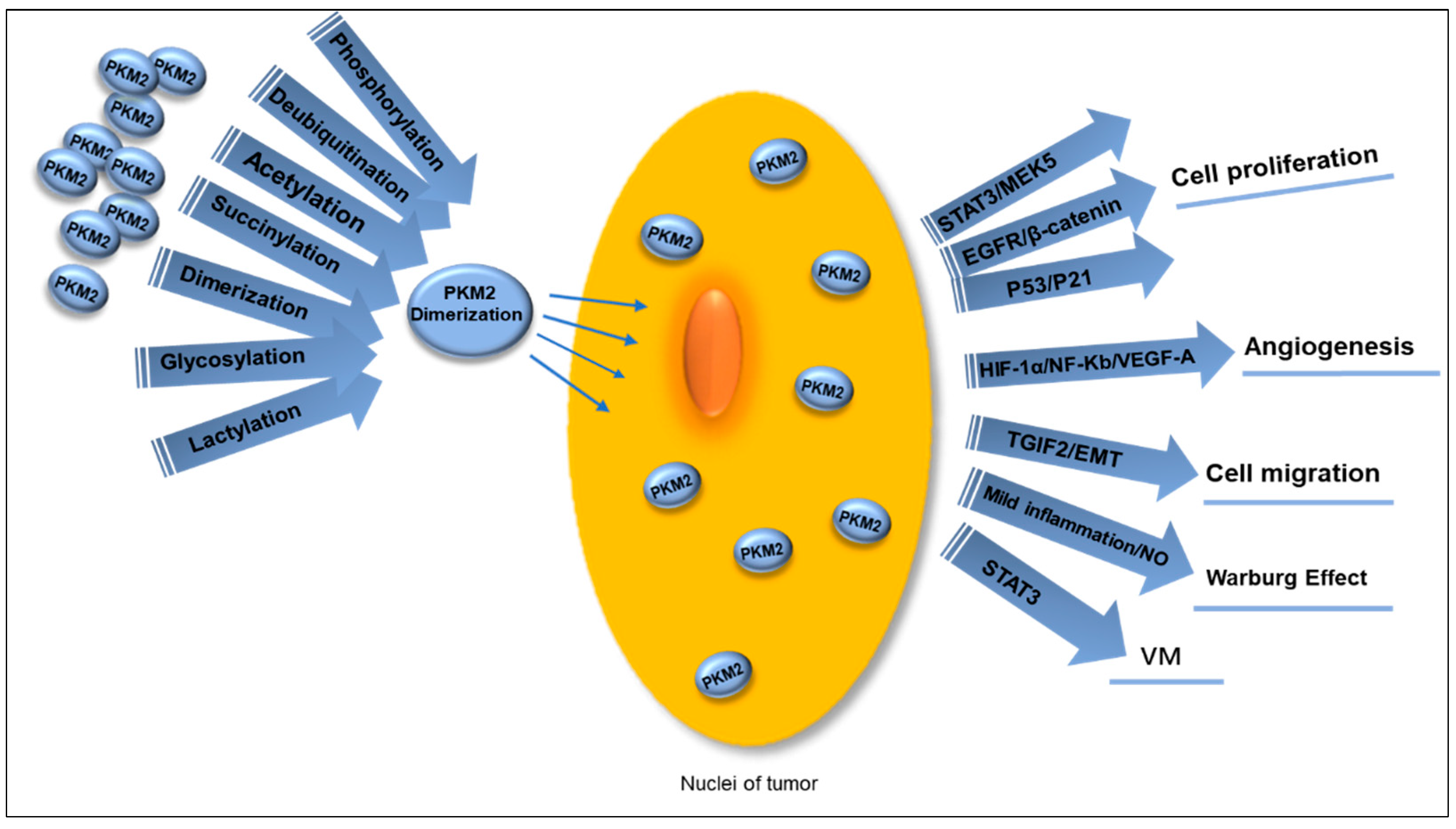 Metabolites 15 00203 g004