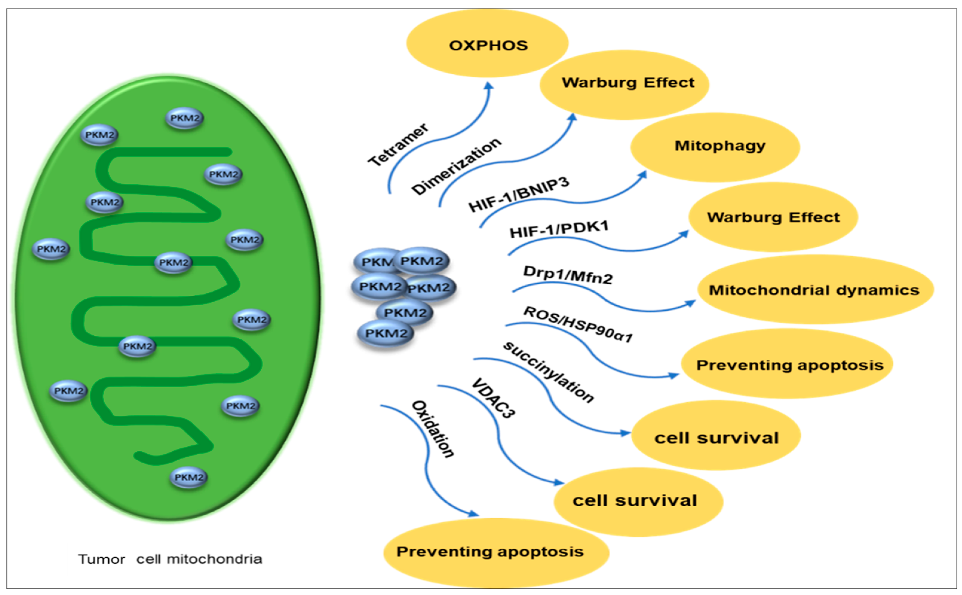 Metabolites 15 00203 g005