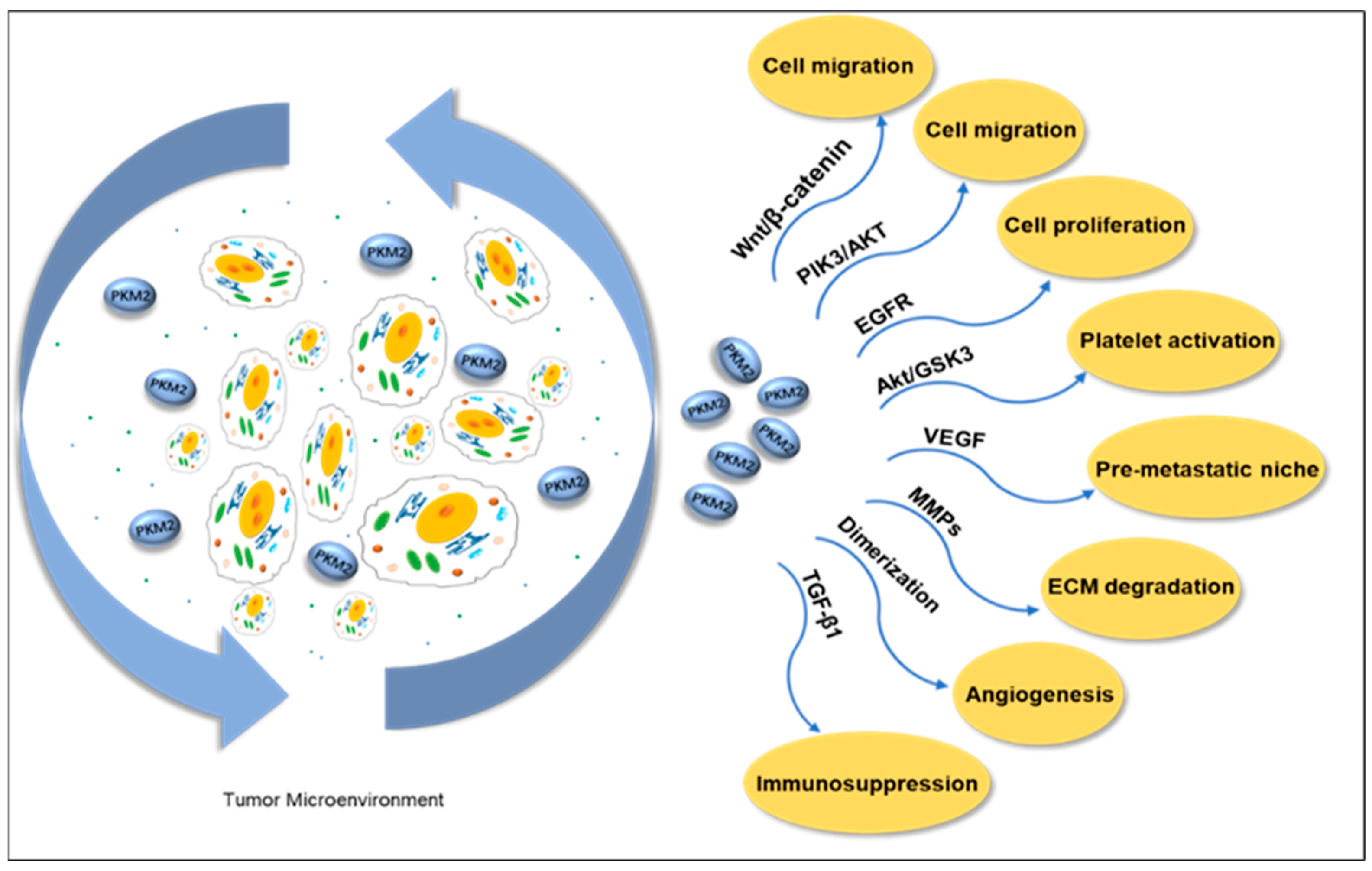 Metabolites 15 00203 g006