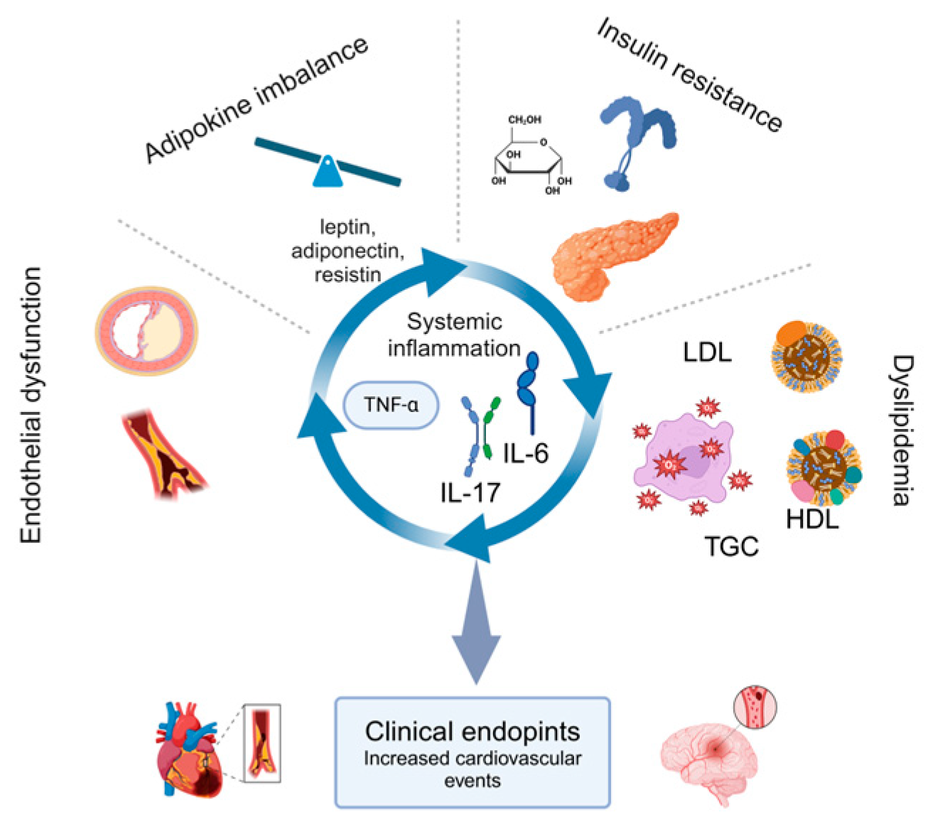 Metabolites 15 00206 g001