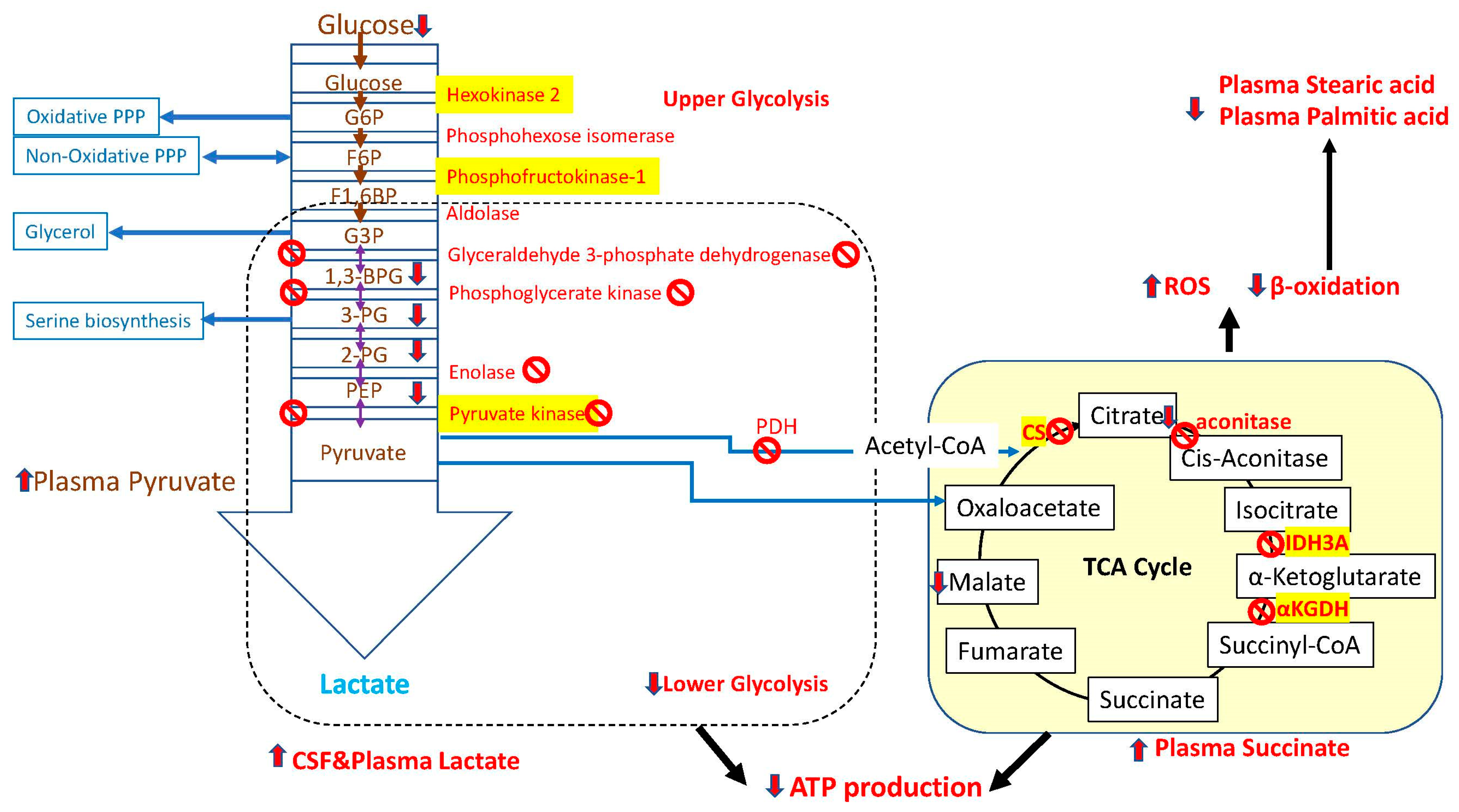 Metabolites 15 00208 g001