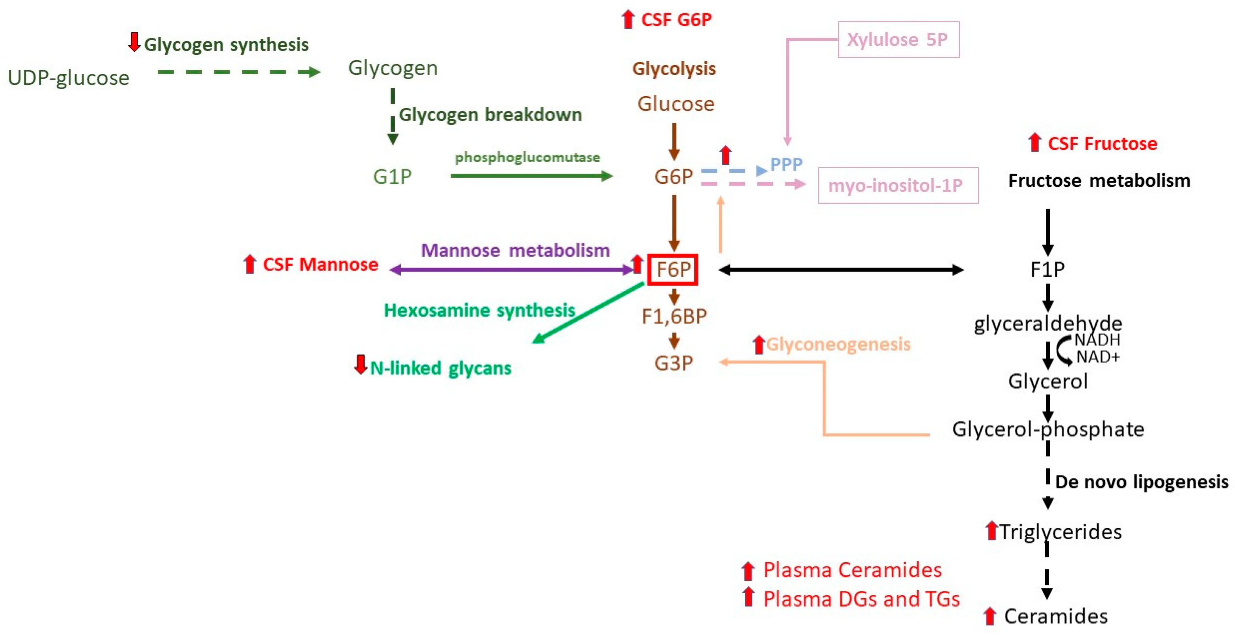 Metabolites 15 00208 g002