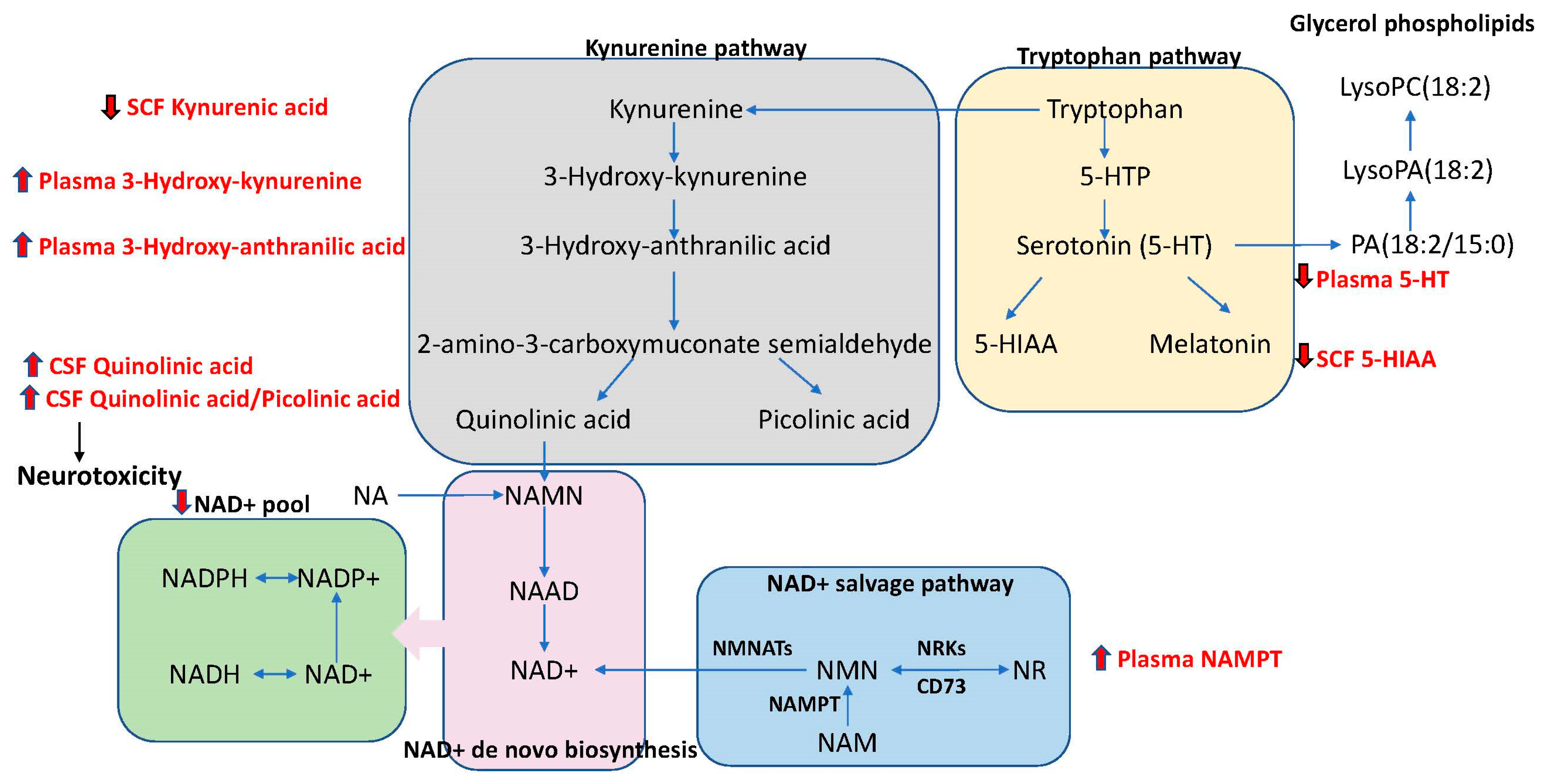 Metabolites 15 00208 g004