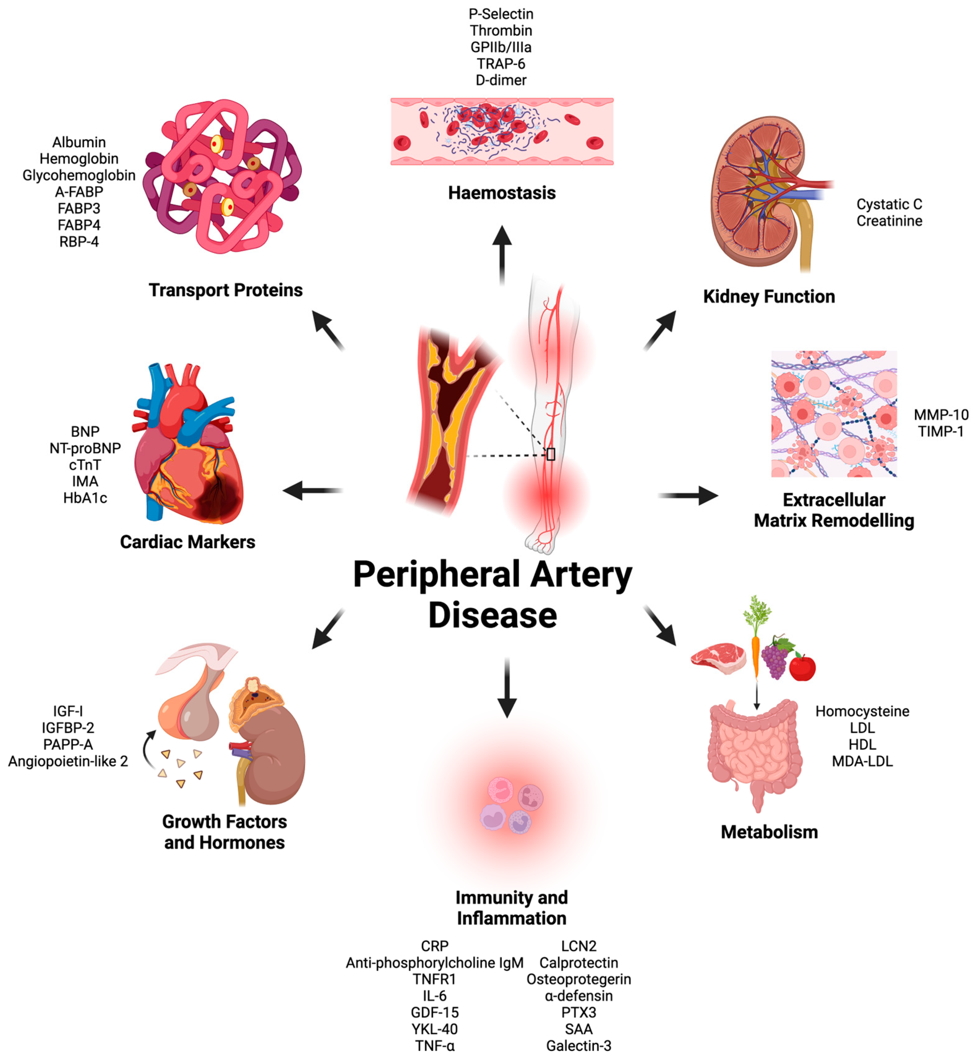 Metabolites 15 00224 g001 Metabolites 15 00224 g001