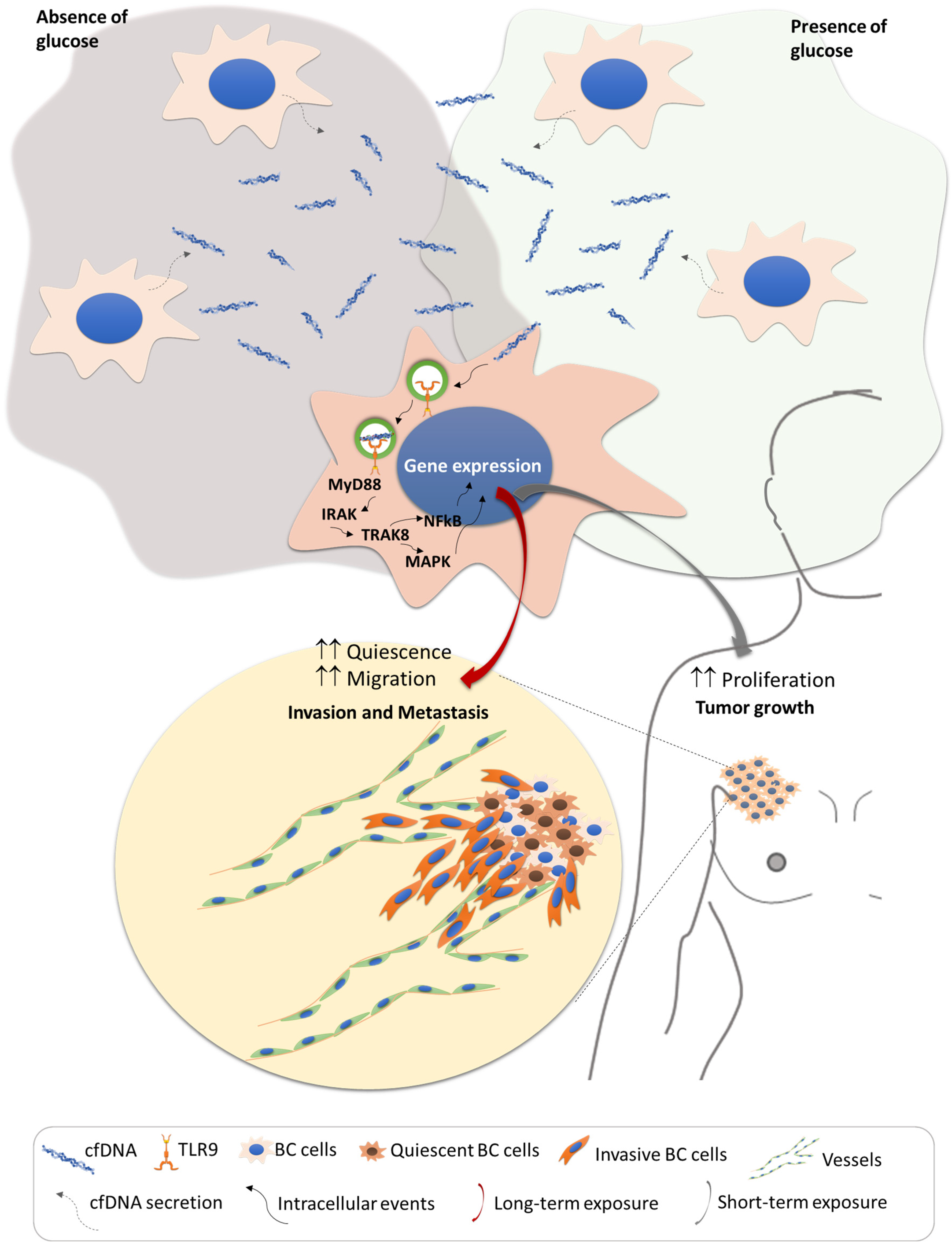 Metabolites 15 00227 g005