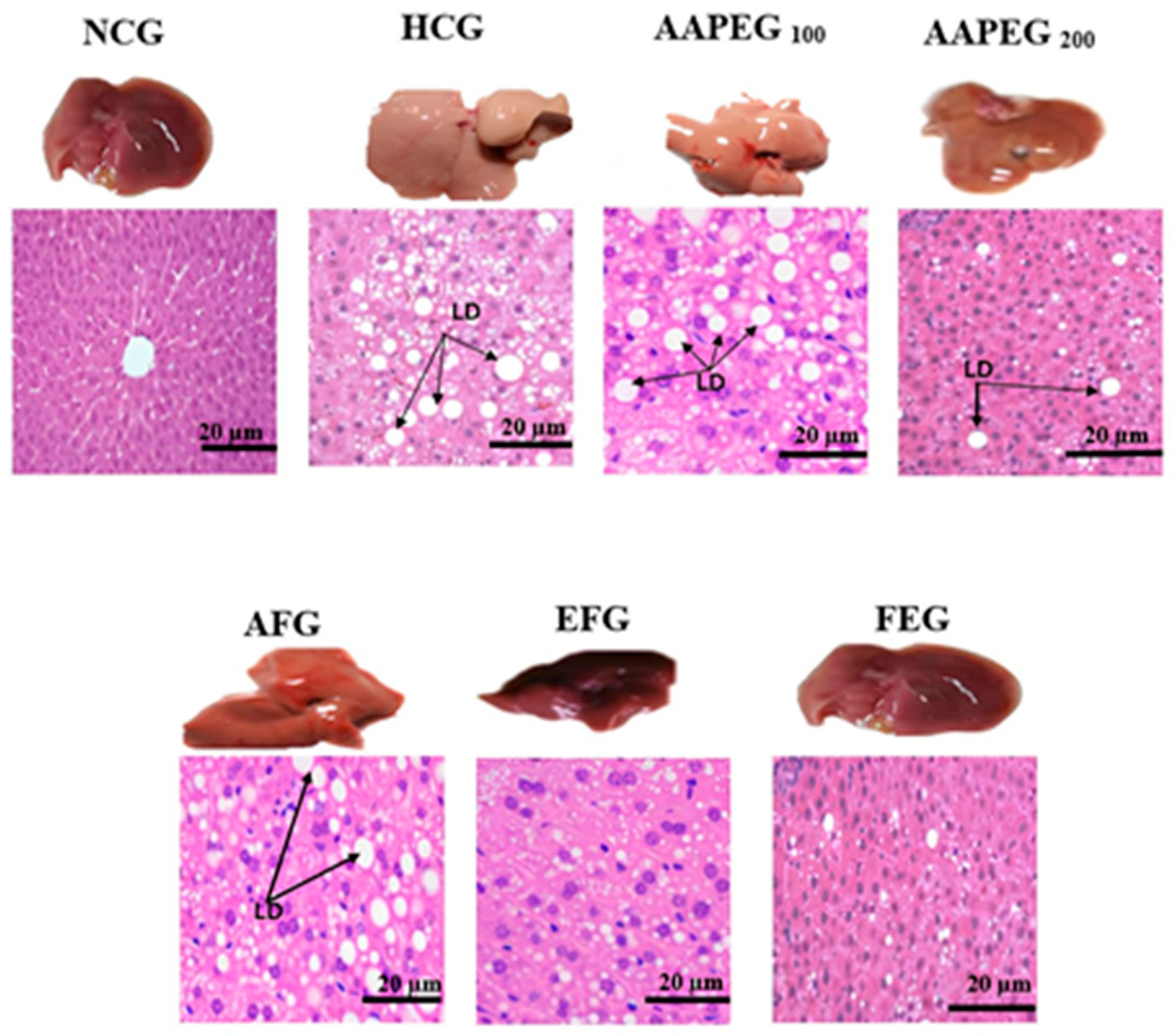 Metabolites 15 00234 g006