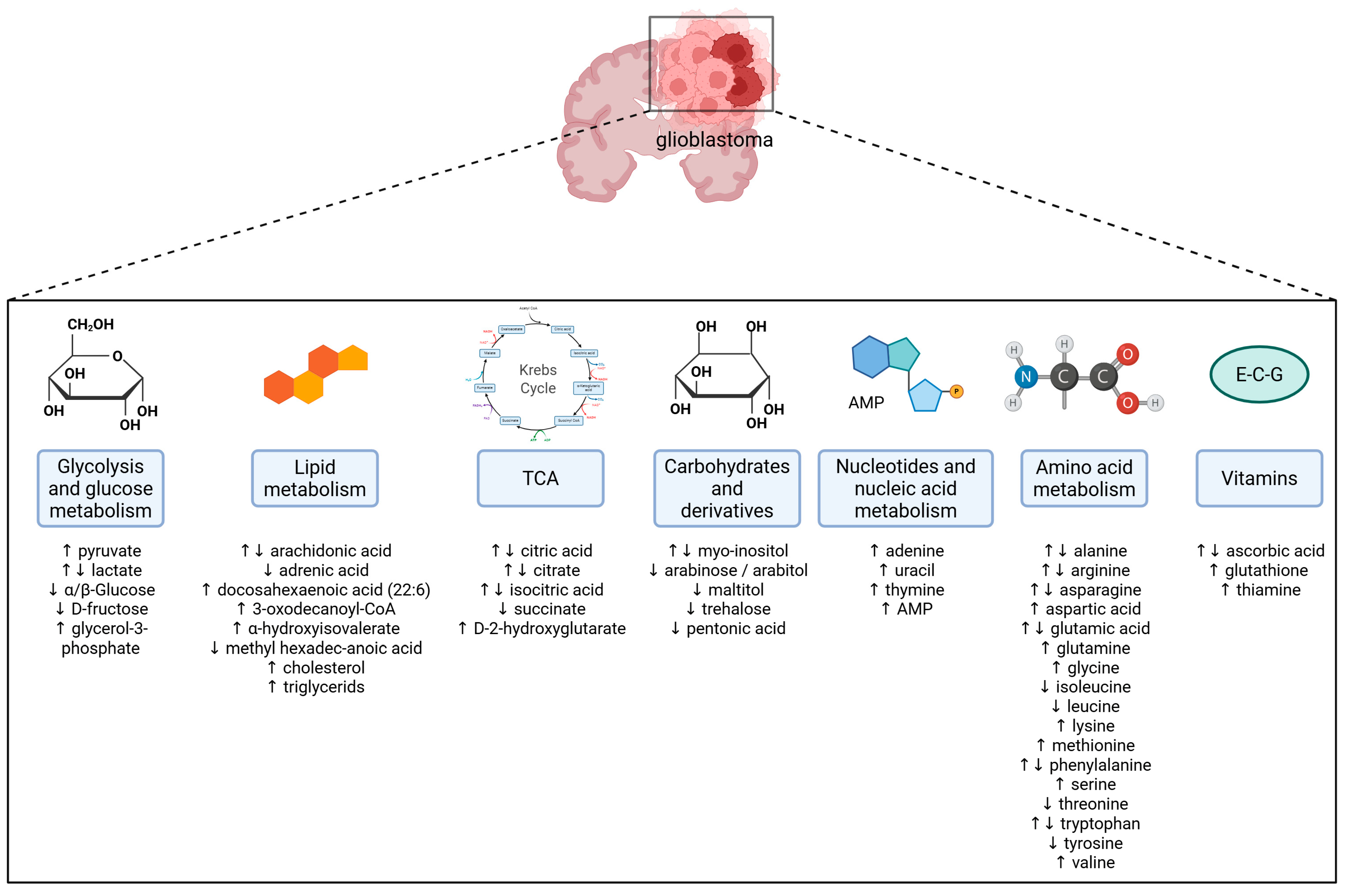 Metabolites 15 00295 g001