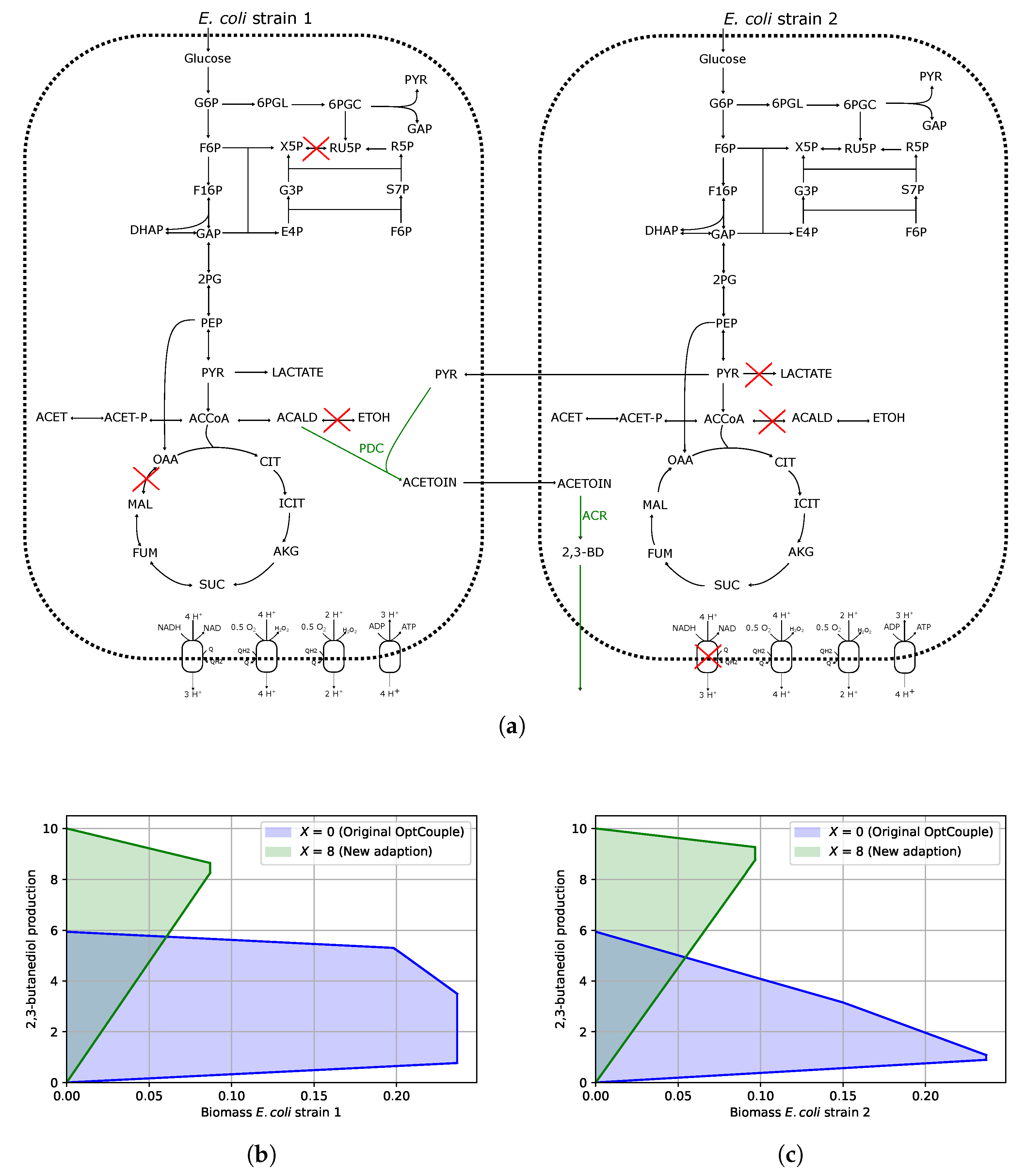 Metabolites 15 00309 g001