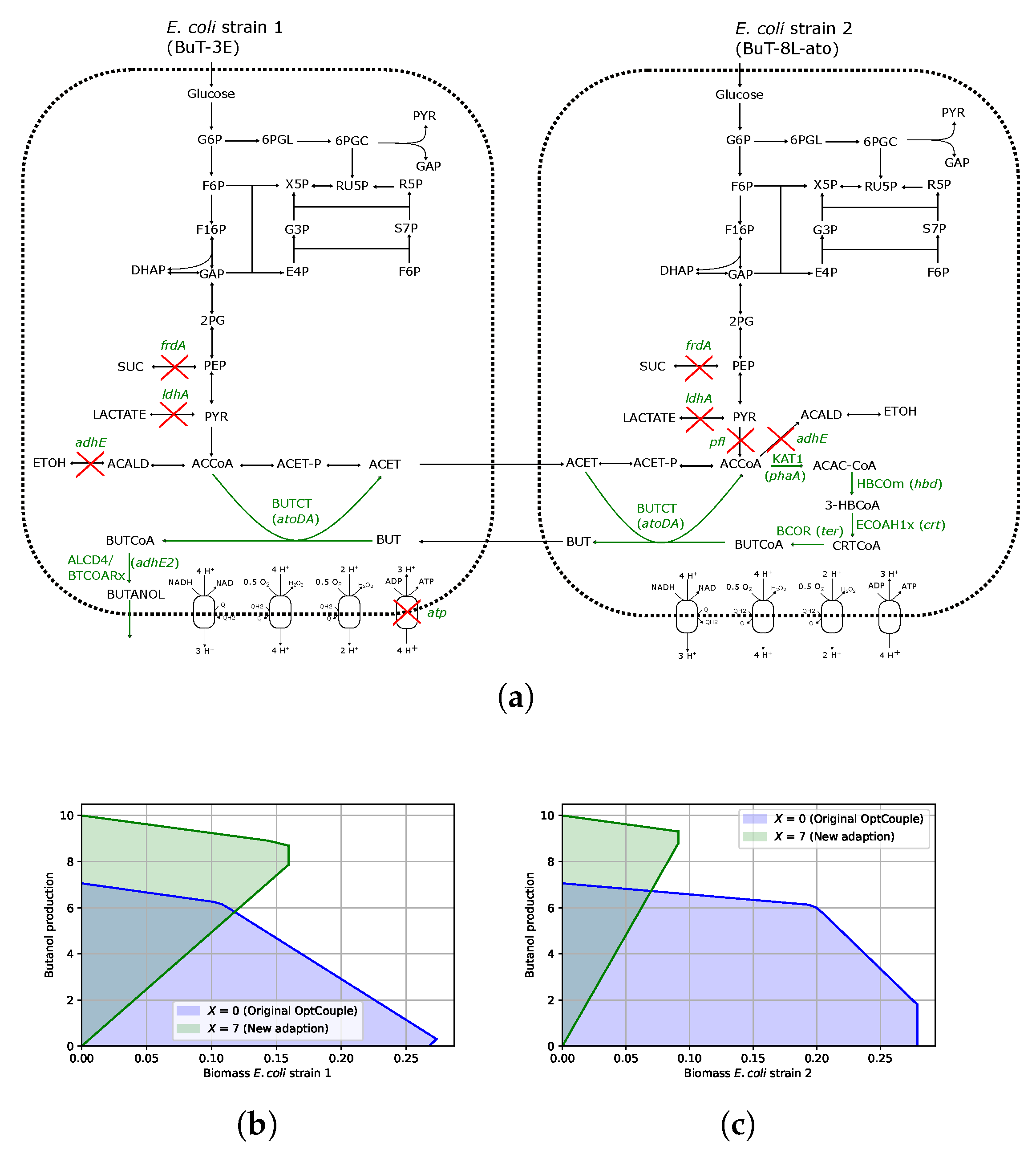 Metabolites 15 00309 g002