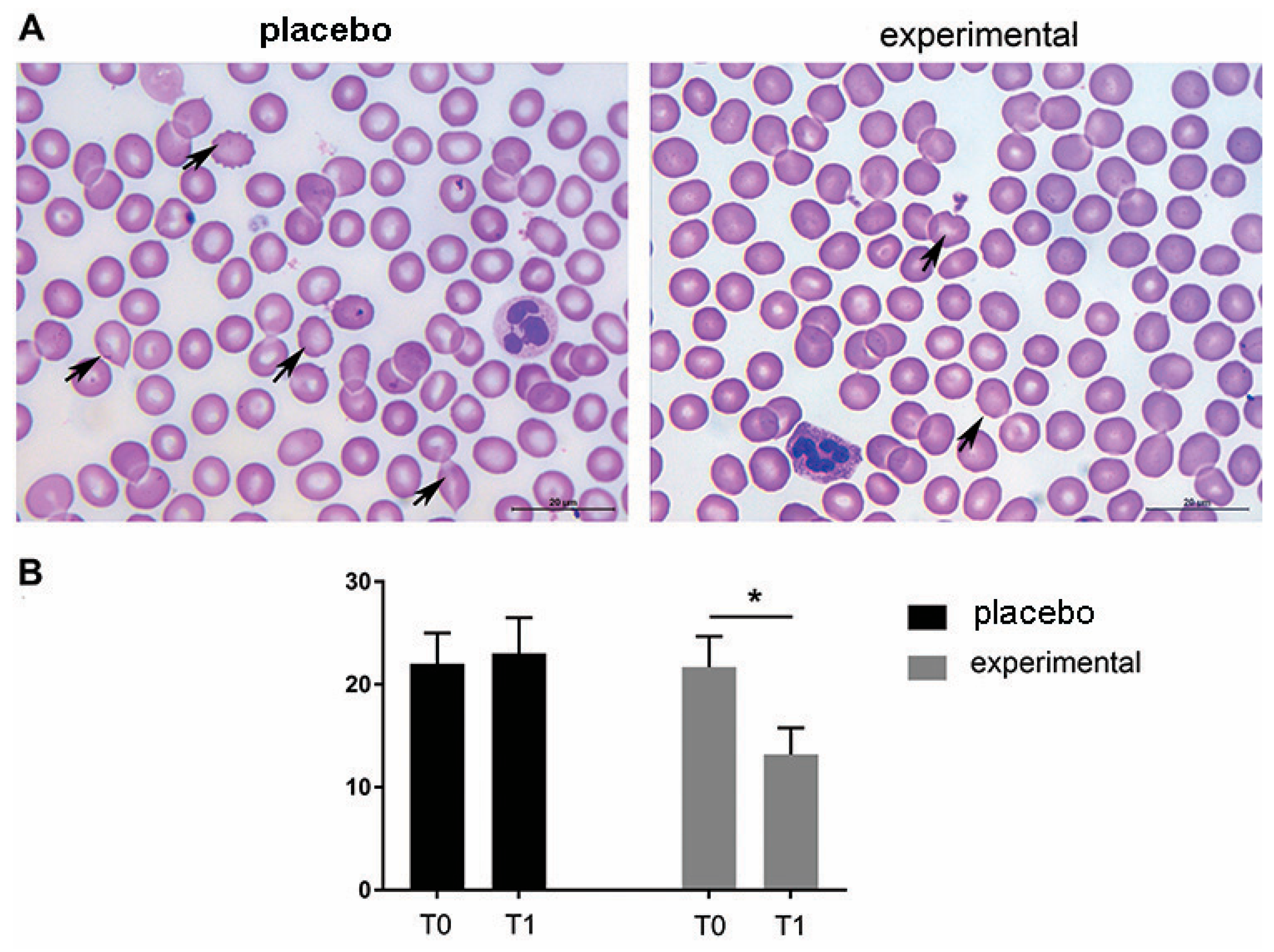 Metabolites 15 00310 g003