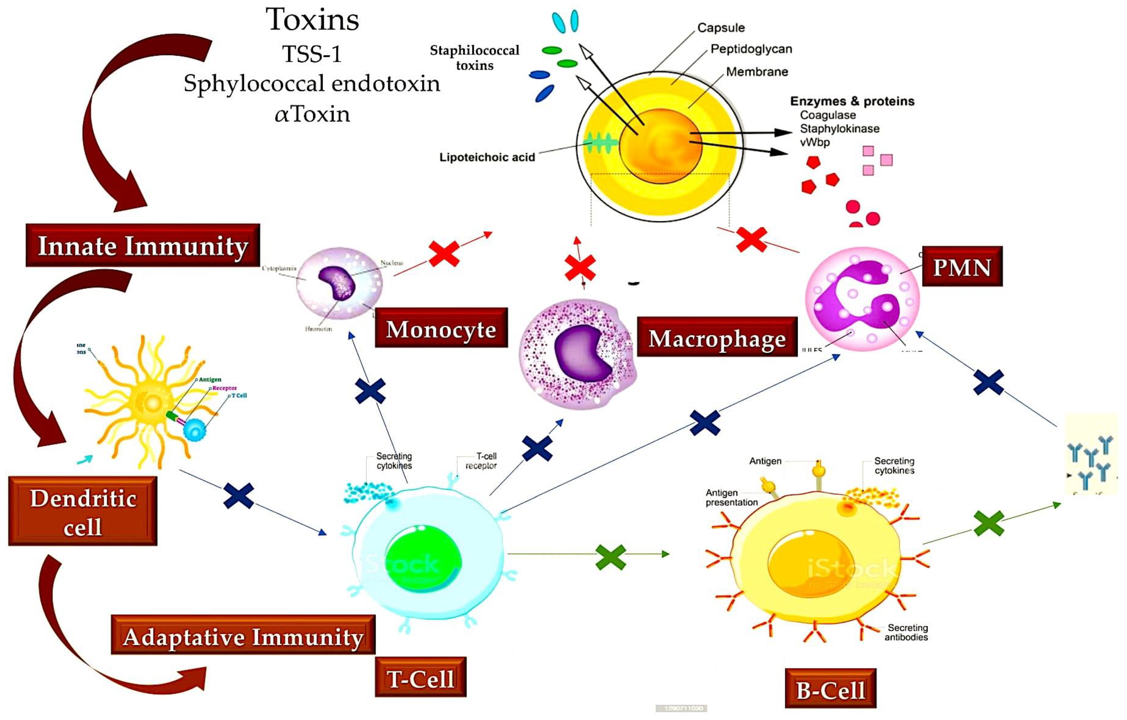 Metabolites 15 00328 g005 Metabolites 15 00328 g005