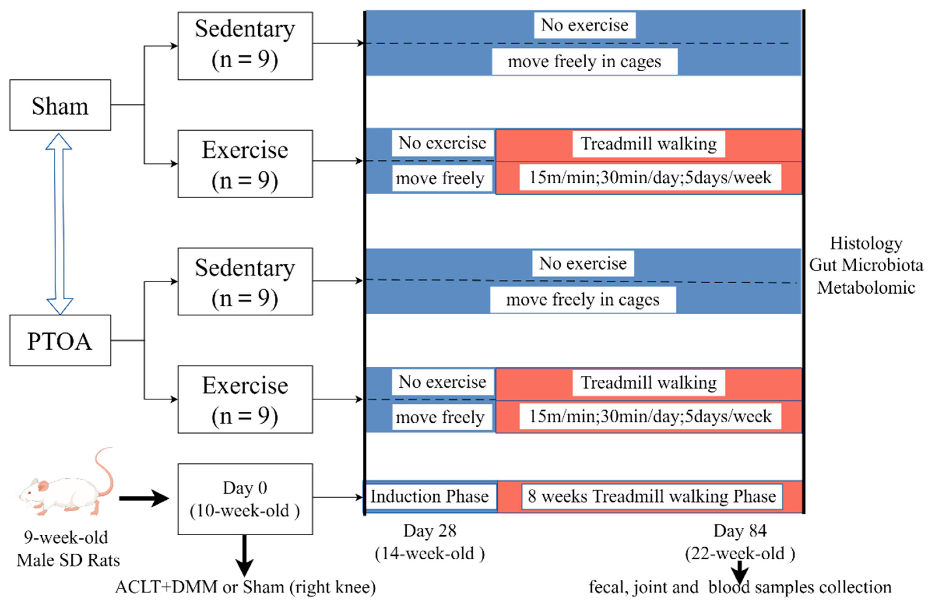 Metabolites 15 00341 g001