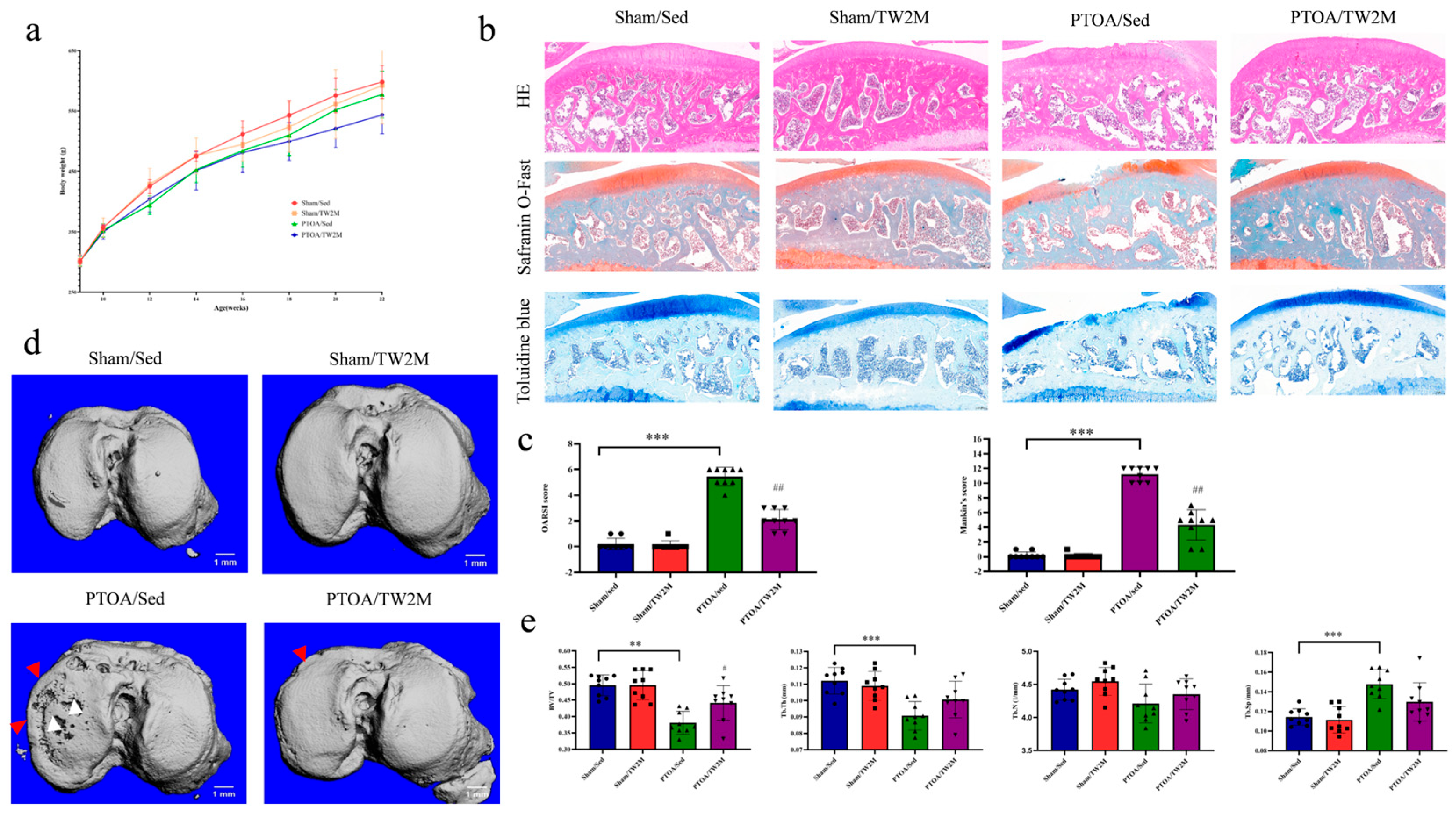 Metabolites 15 00341 g002