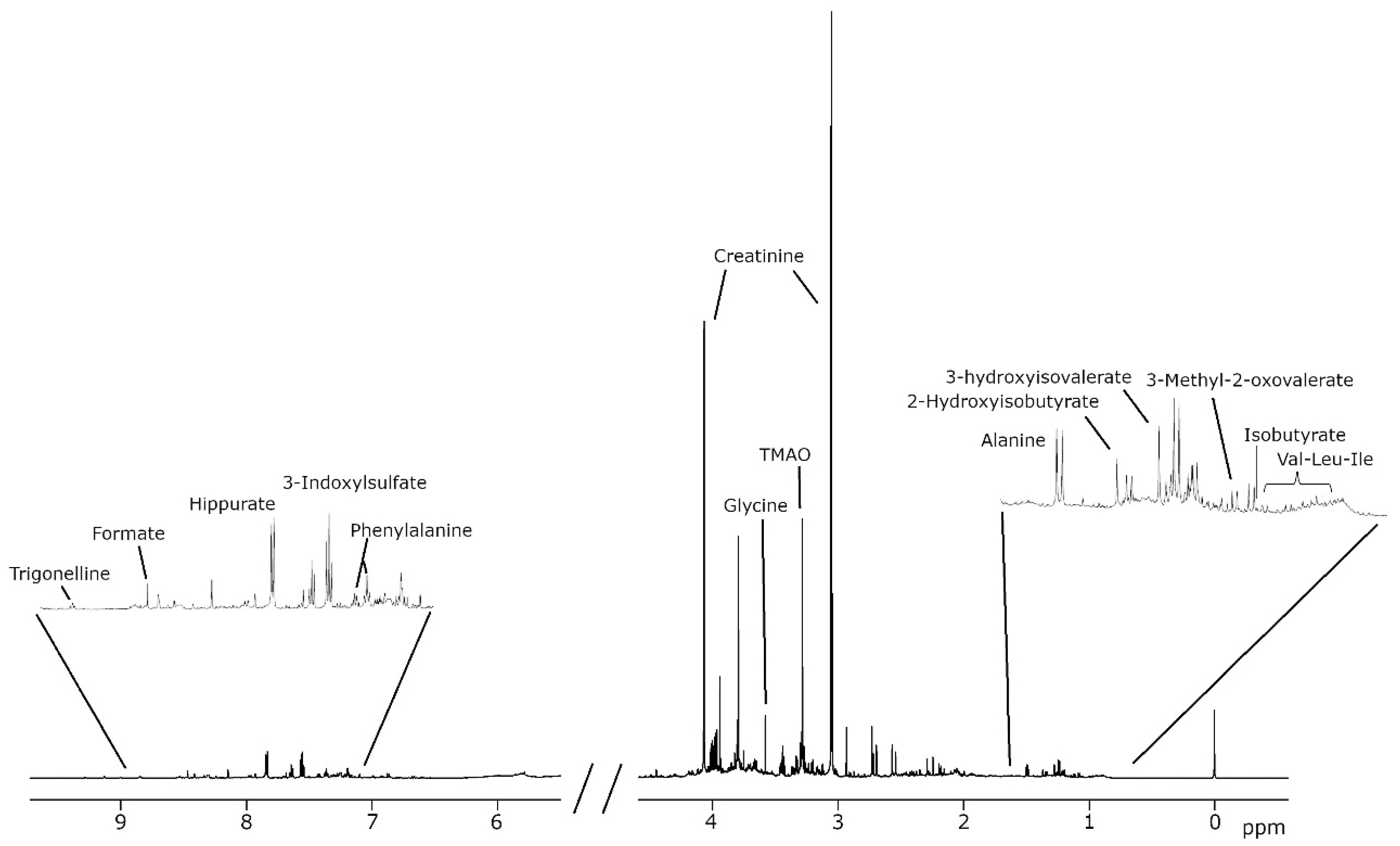 Metabolites 15 00348 g001 Metabolites 15 00348 g001