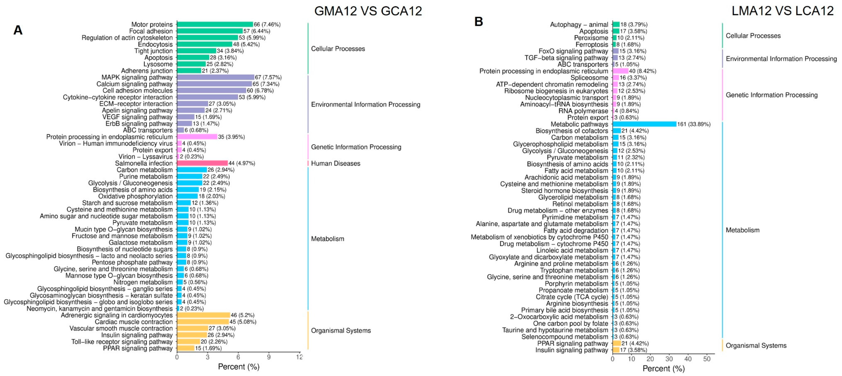 Metabolites 15 00349 g005