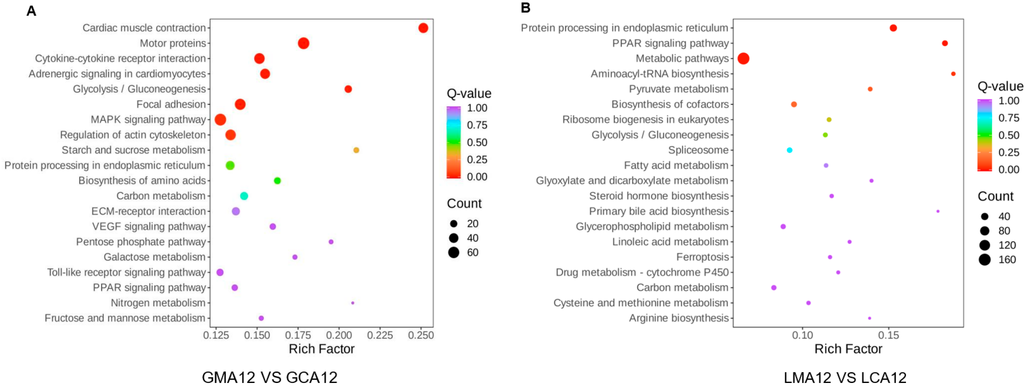 Metabolites 15 00349 g006